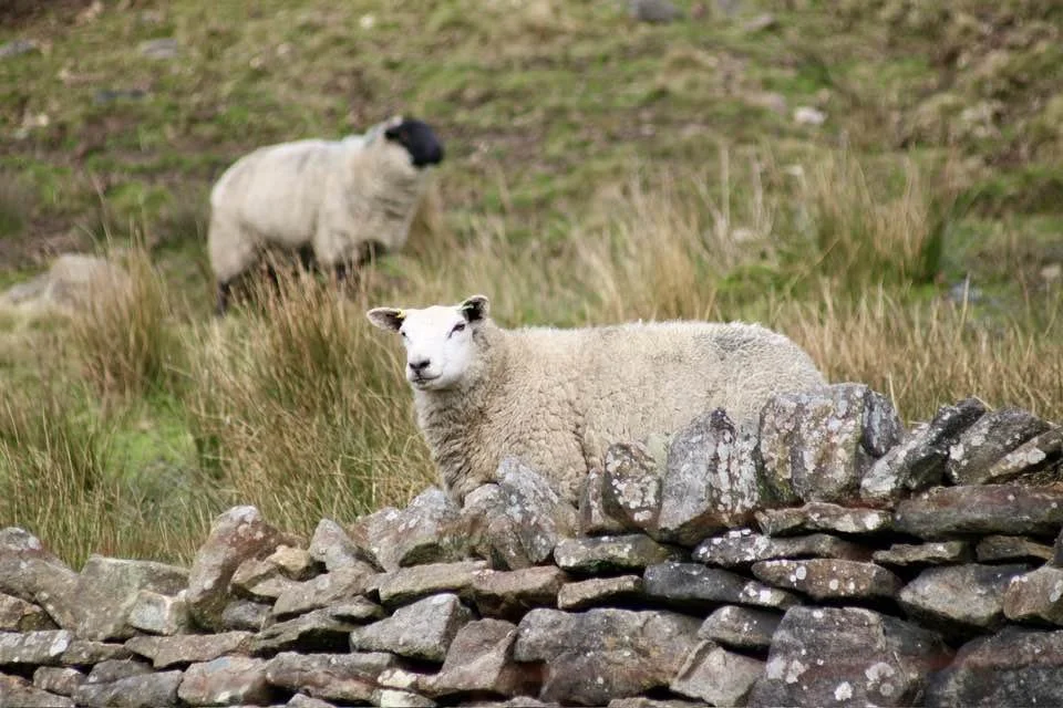 Keeping an eye - Elaine Byram