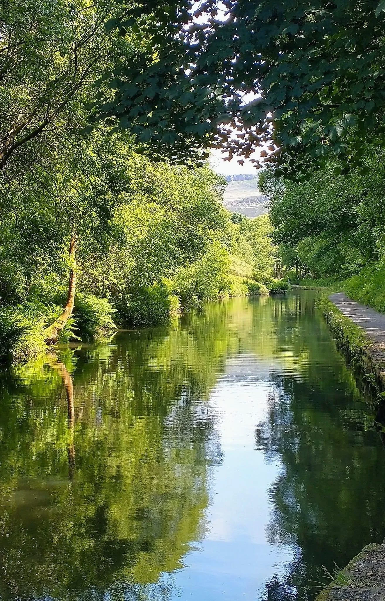 Reflections everywhere - Dawn Smith