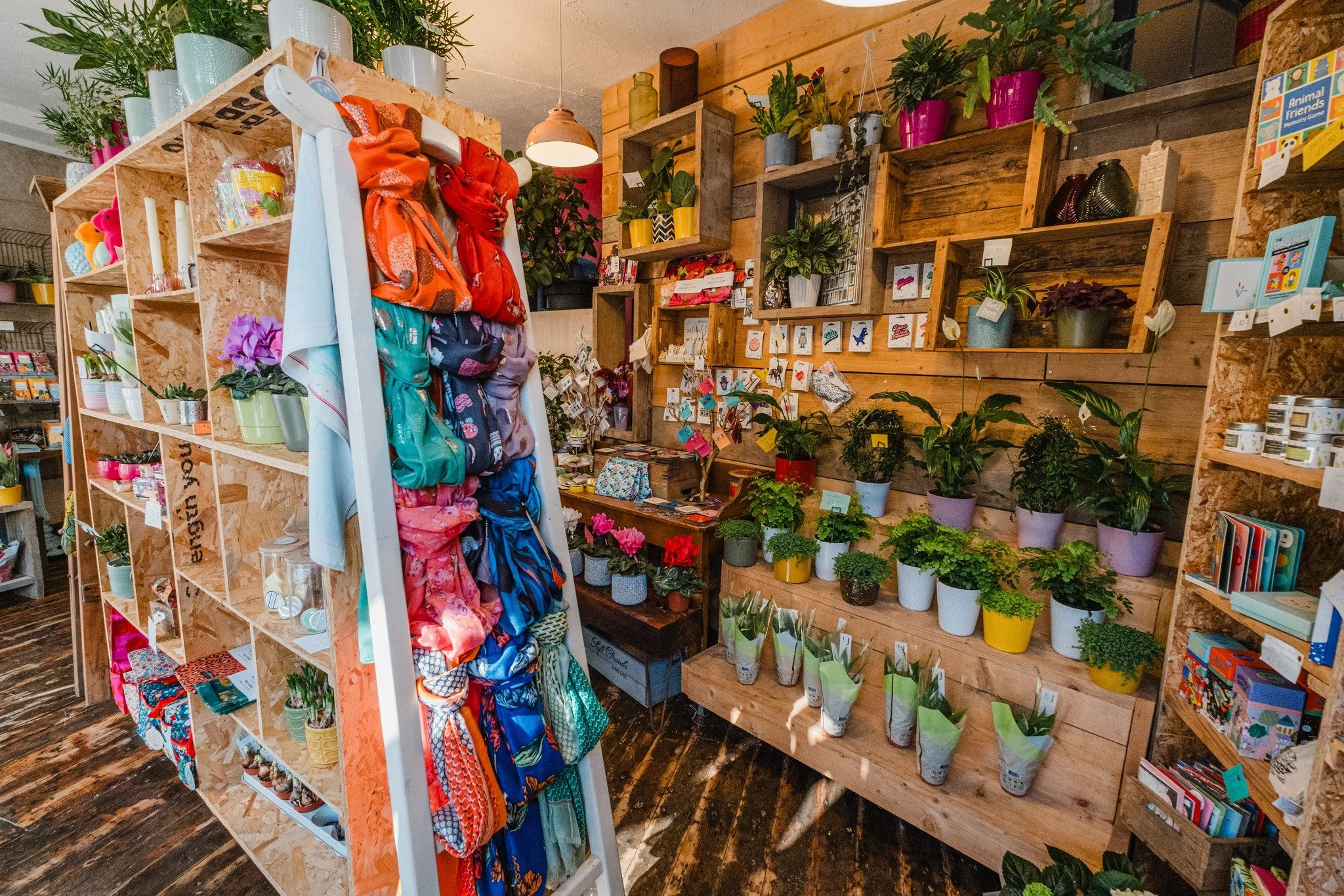 Various plants and gifts for sale in Lily Blossom, Marsden, West Yorkshire.