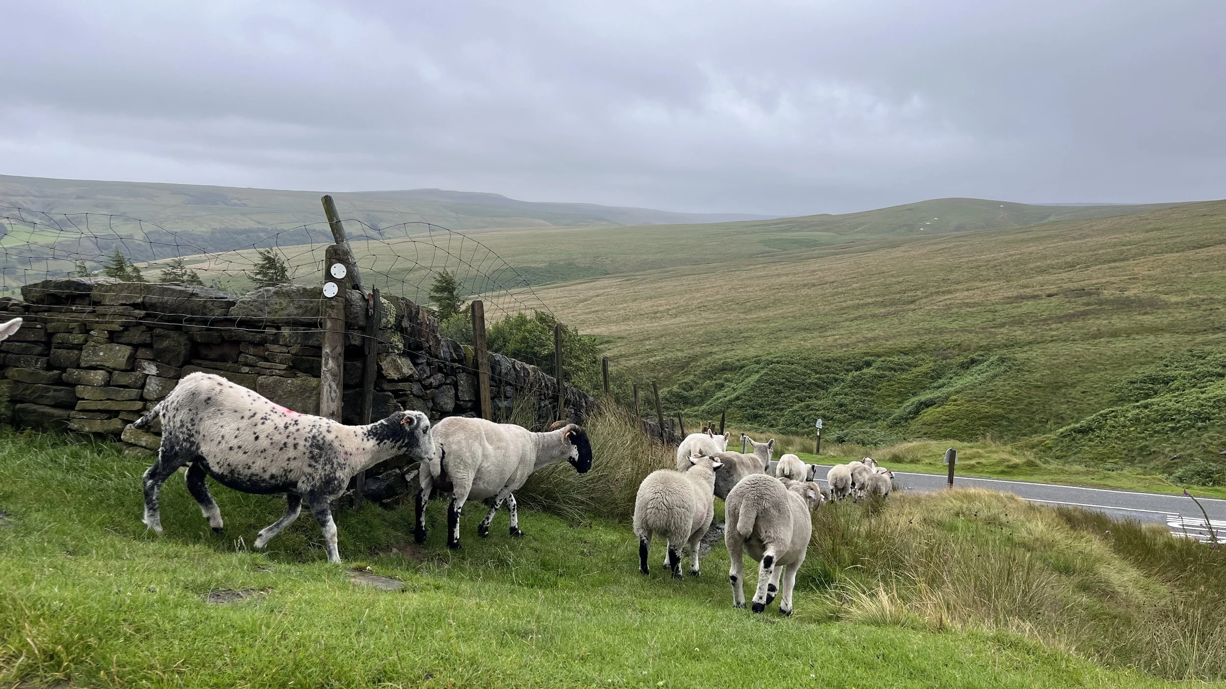 On the move - Elaine Byram