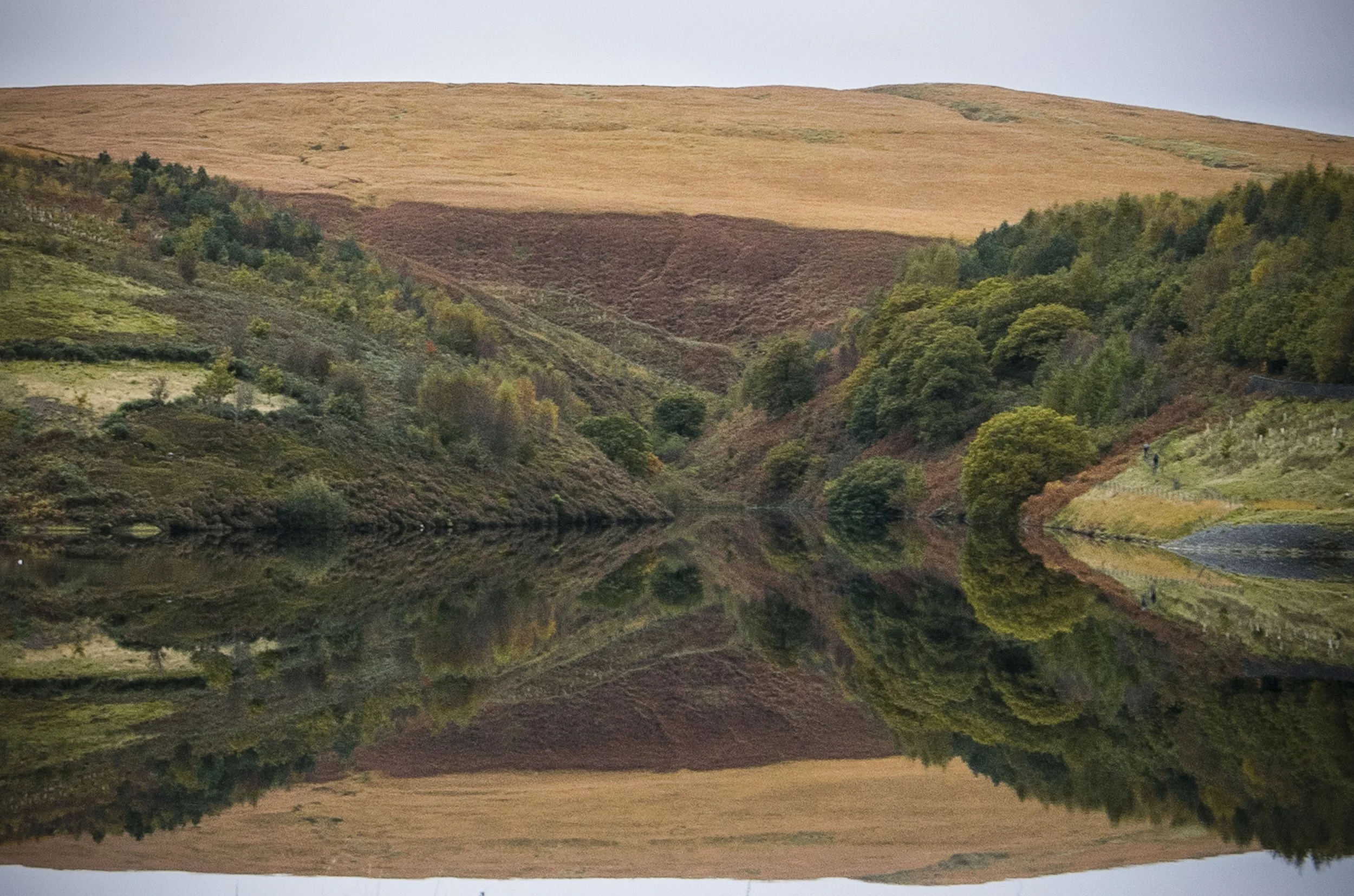 Mirror images everywhere - Vinny Tyrell