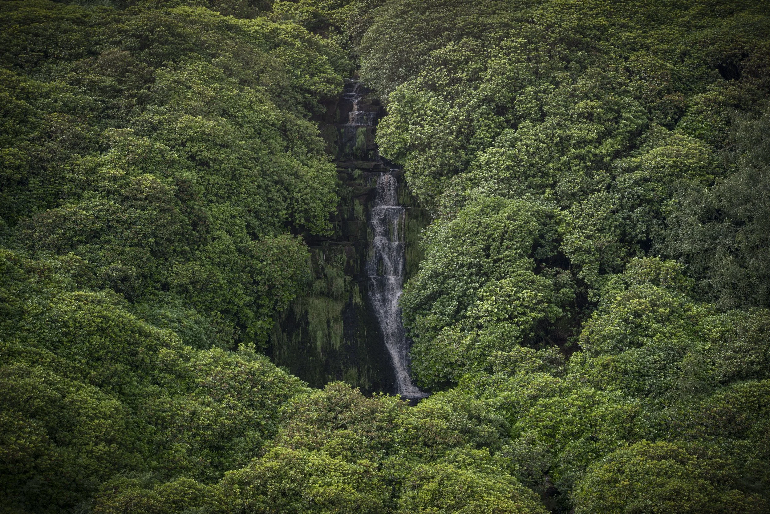 A Wessenden Valley waterfall - Vinny Tyrell