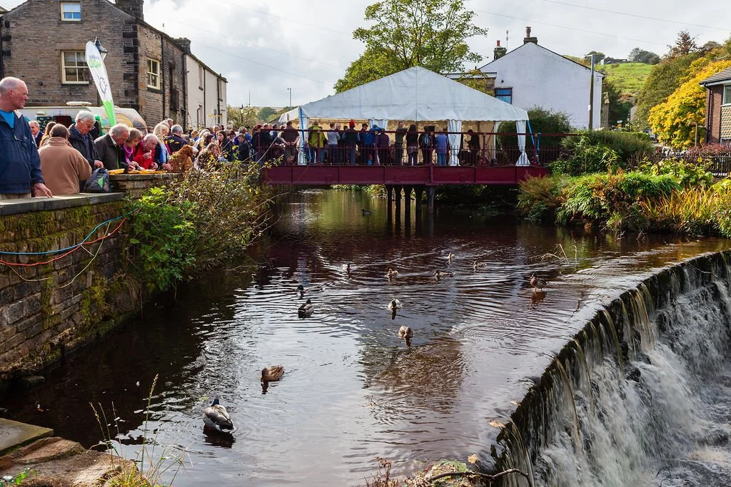 Jazz ducks - David Preston Photography