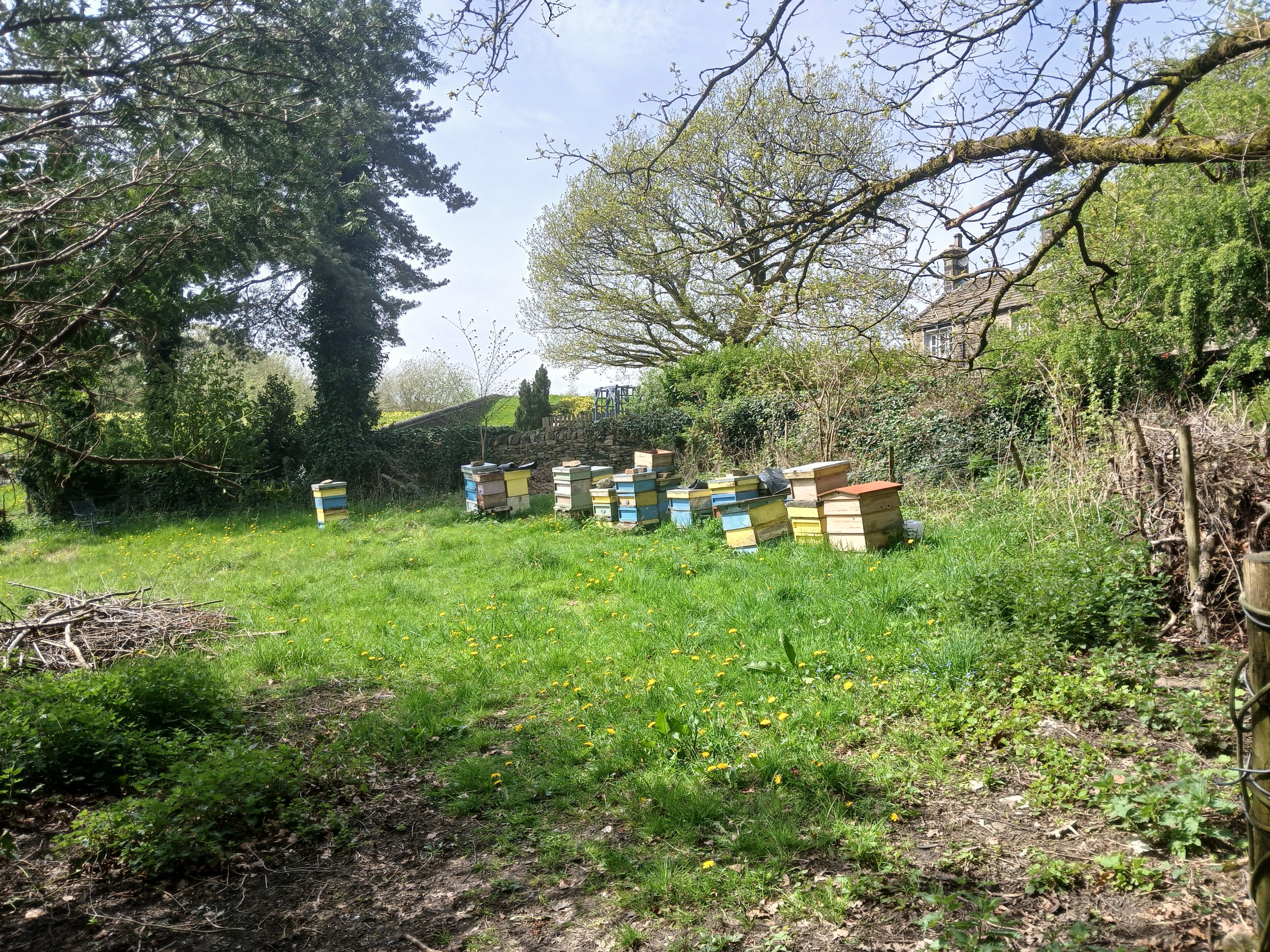 Bee hives at The Buzz Project in Marsden, West Yorkshire.