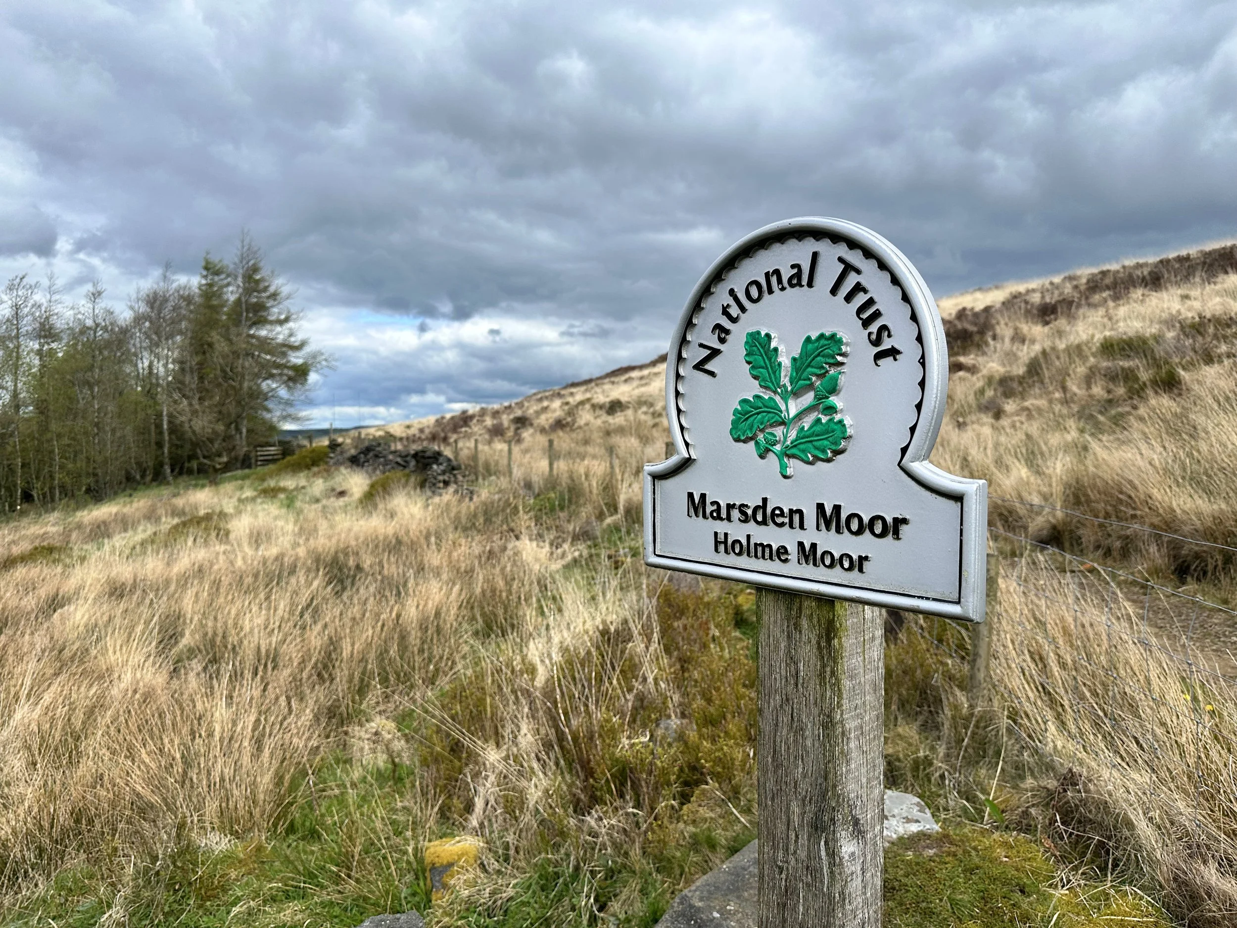 Holme Moor - Elizabeth Baker Photography