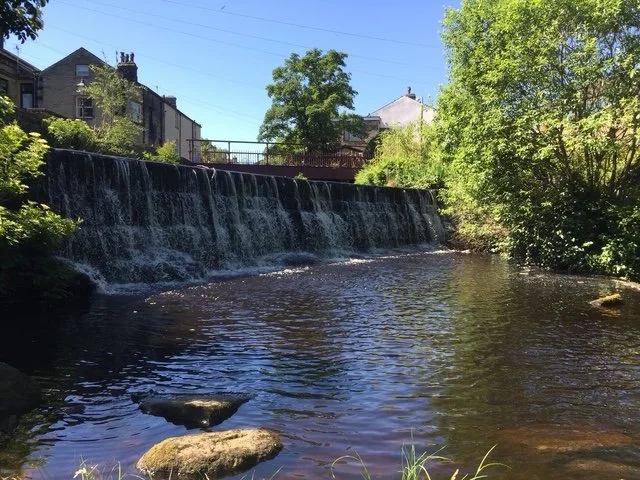 The weir near the Riverhead - Cora Shaw