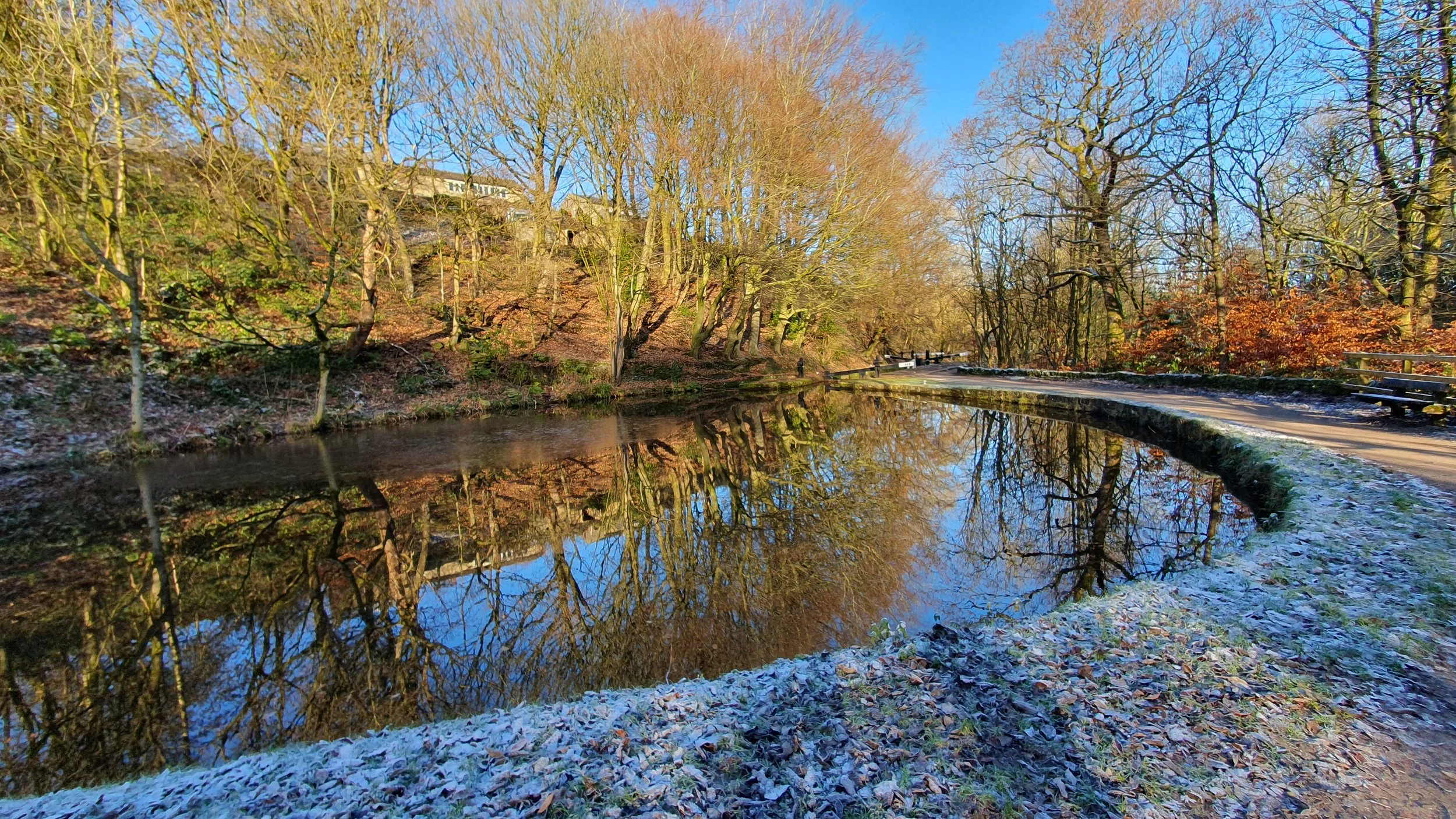 Winter reflections - Gabriel Brodetsky