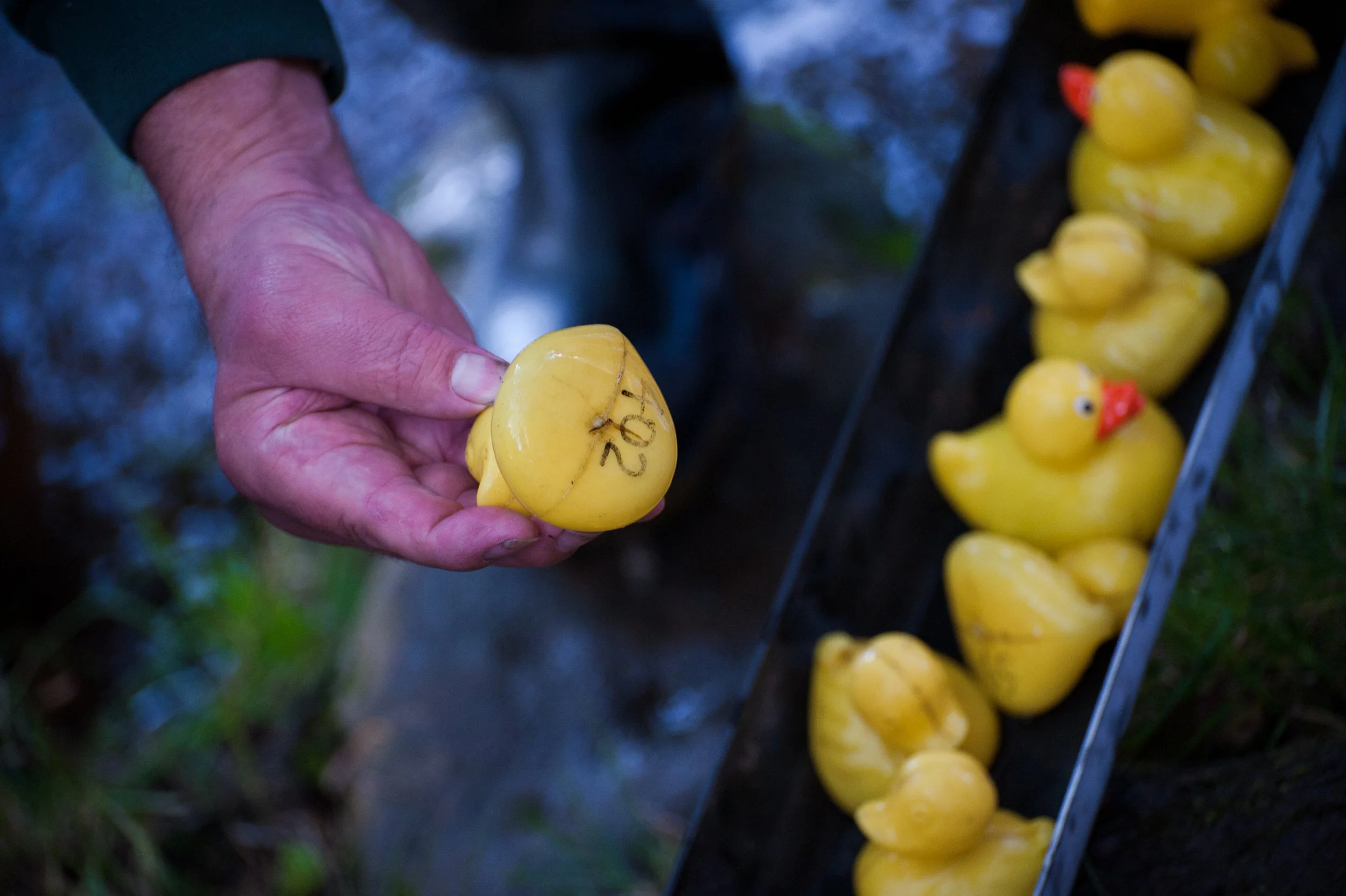 The duck race - Elizabeth Baker Photography