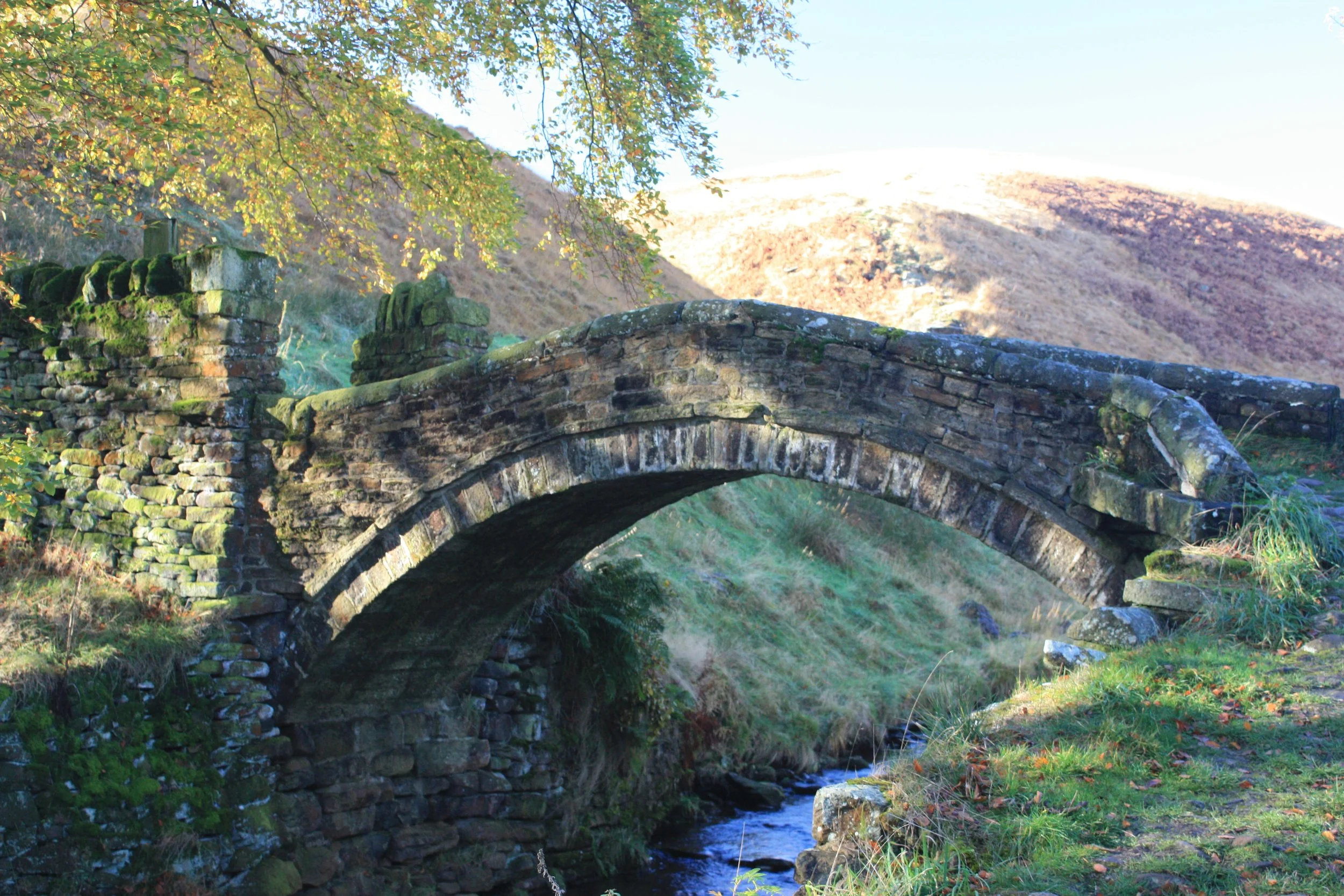 Eastergate packhorse bridge - Duncan Gill