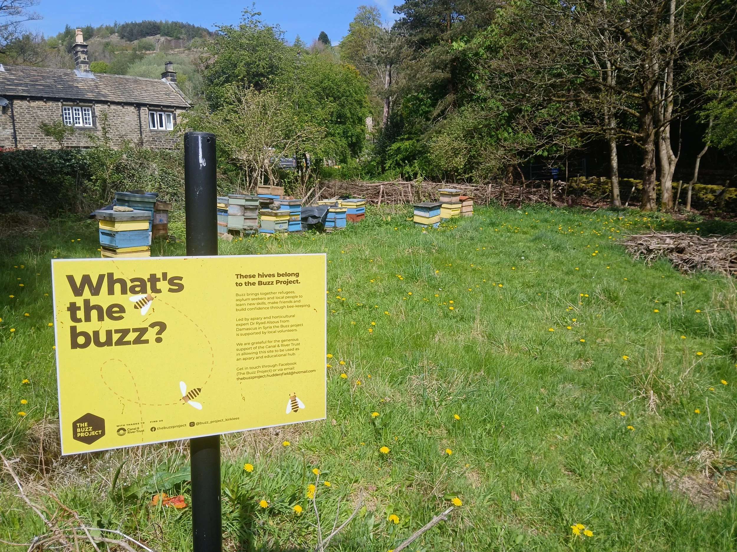 Sign explaining about bees at The Buzz Project in Marsden, West Yorkshire.