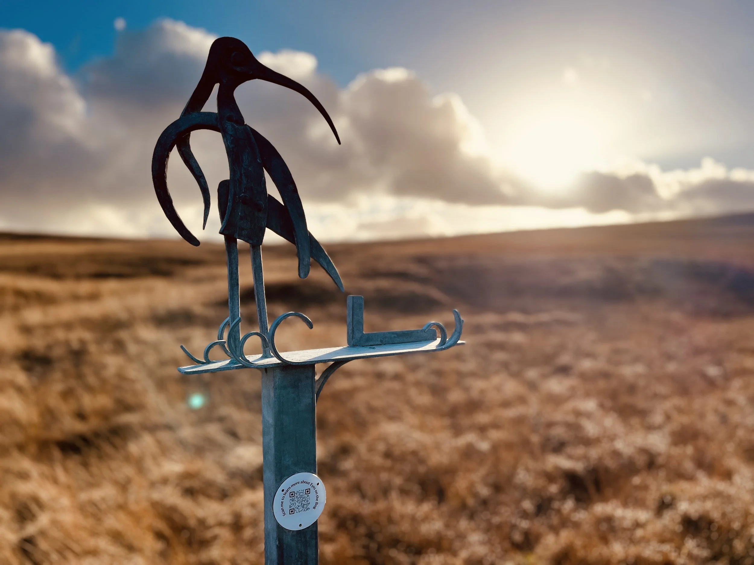 'Eyes on the bog' curlew sculpture - Jane Whitham