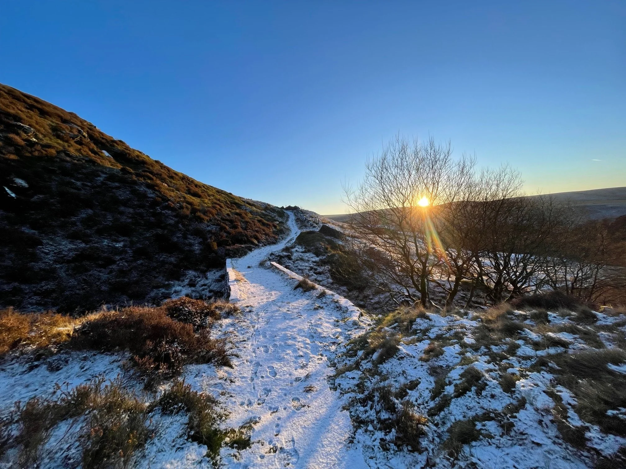 A winter walk - David Coldwell