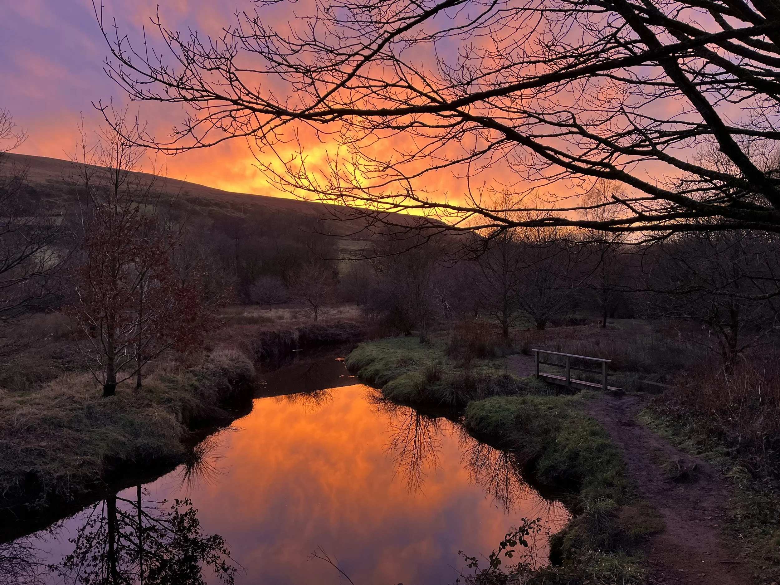 Tunnel End Nature Reserve - Jane Whitham