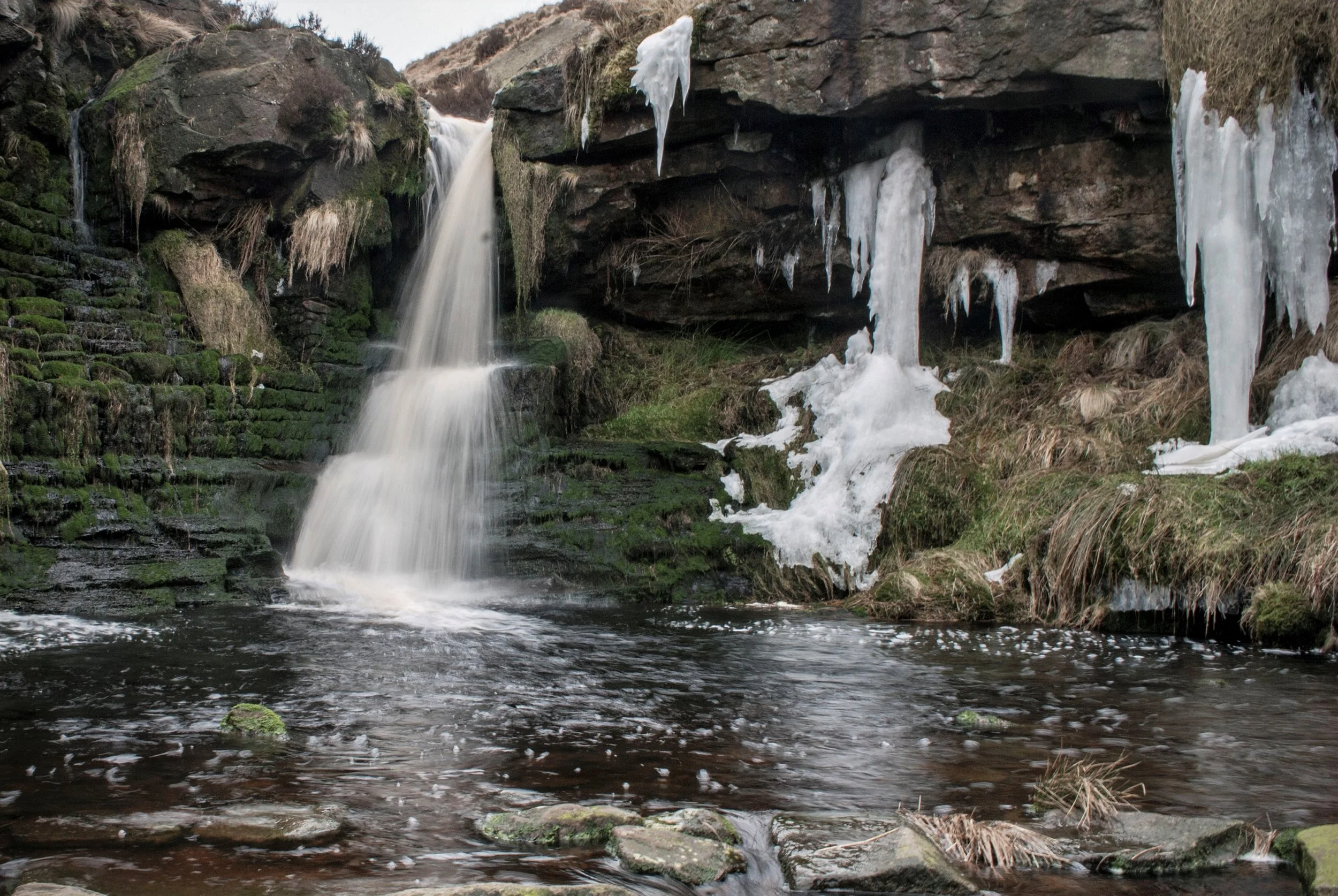 An icy Blake Clough - Vinny Tyrell