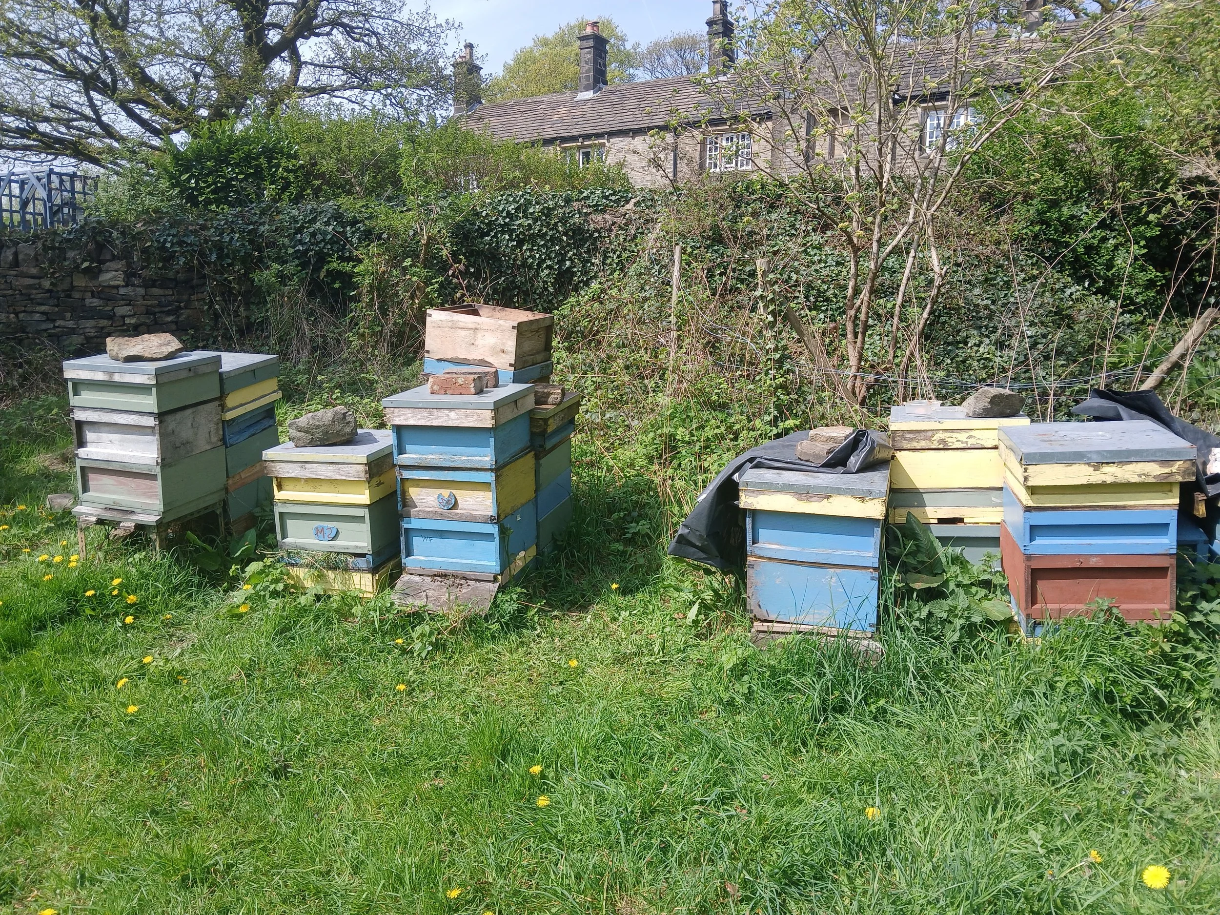 Some of the bee hives at The Buzz Project in Marsden, West Yorkshire.
