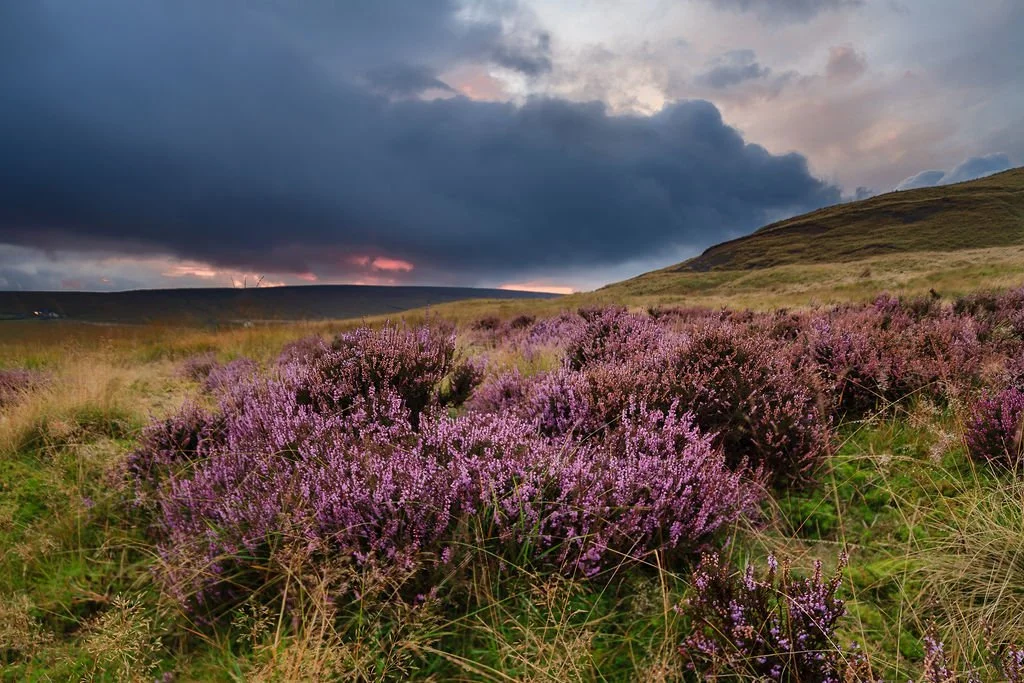 Dark skies over Close Moss - David Preston Photography