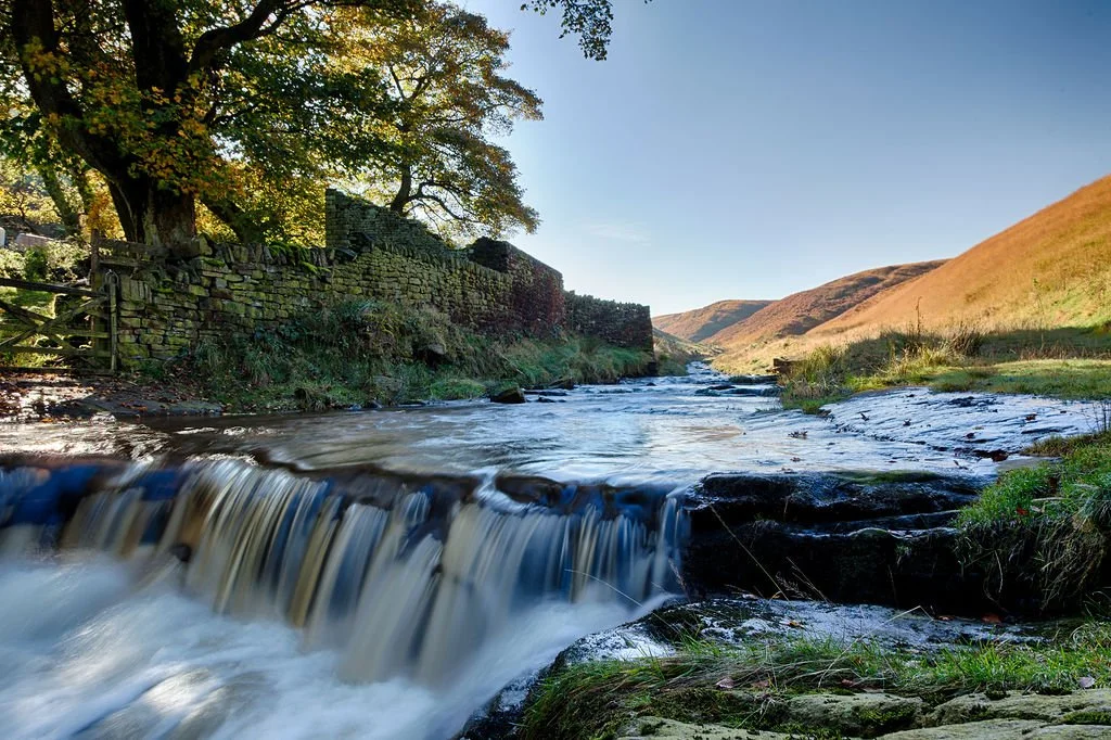 The river at Eastergate - David Preston Photography