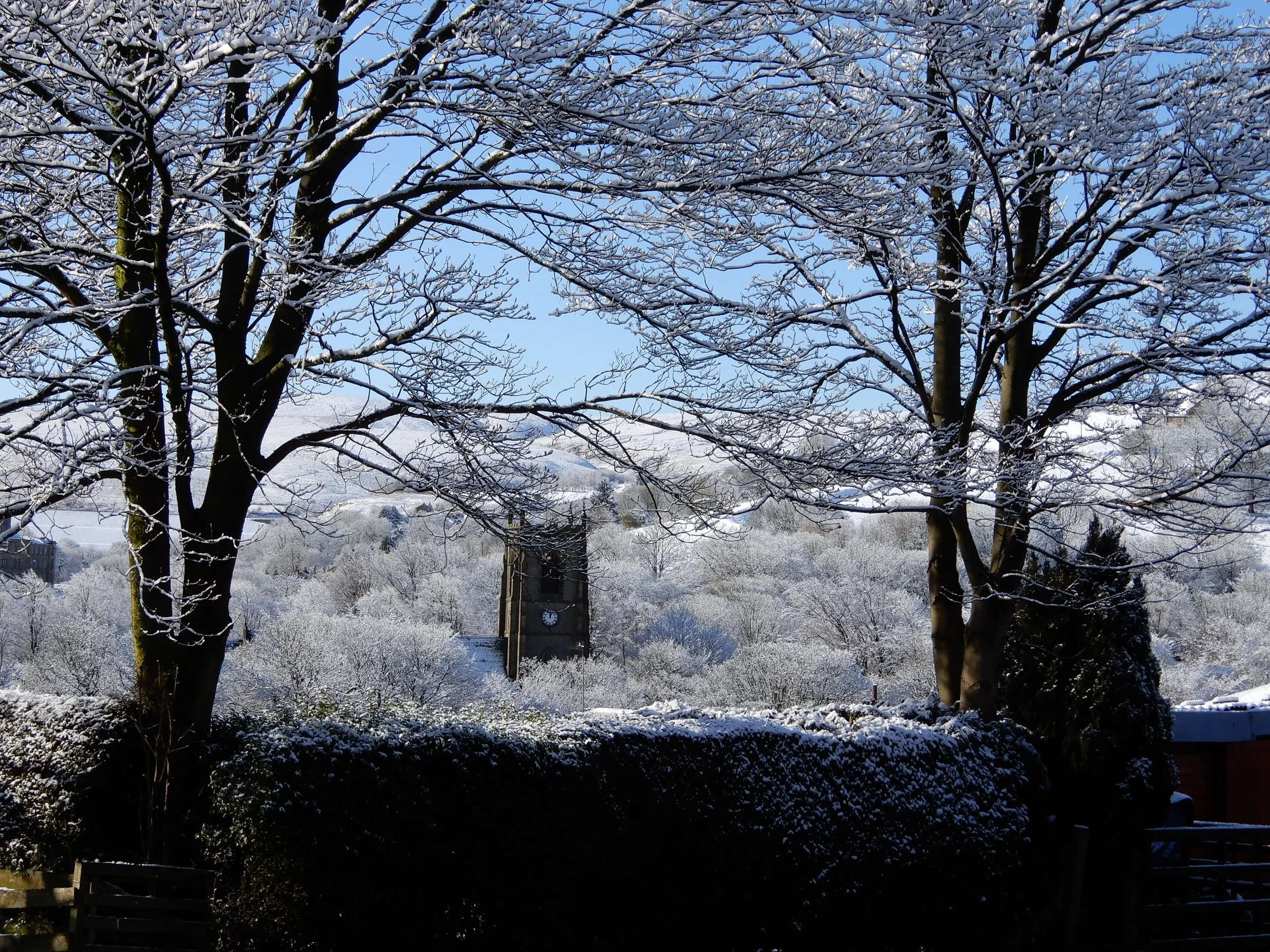 St. Bart's through the trees - John Orson