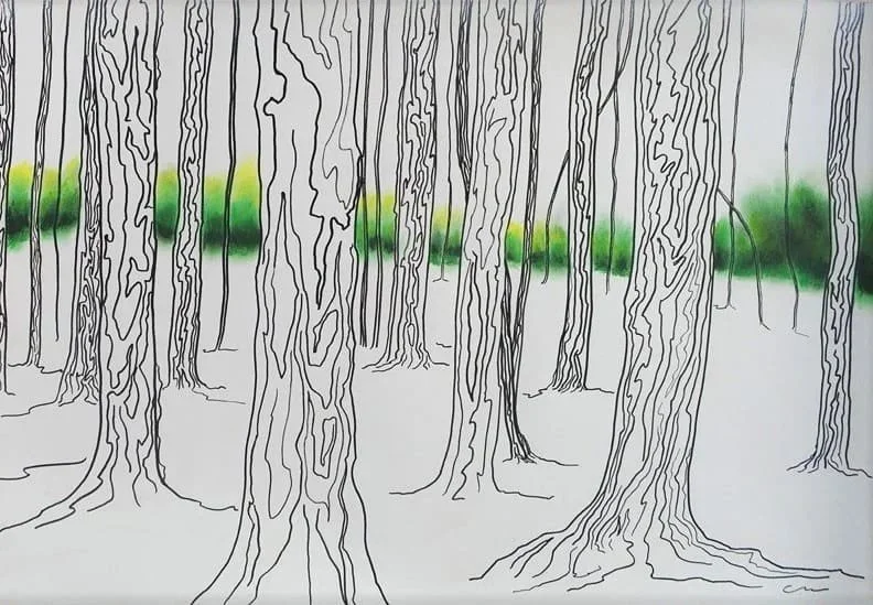 "Thinking Green ". Desenho em técnica mista sobre papel, 29,7 x 42 cm, 2018.  Cláudia Matoos. 