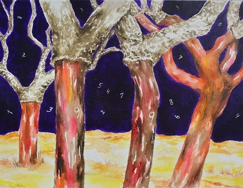 "Noturn Cork Oaks". Desenho em aquarela sobre papel,  21 x 29,7 cm, 2018. Cláudia Matoos.