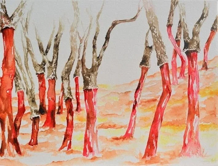 "The Dance of the Cork Oaks". Desenho em aquarela sobre papel,  21 x 29,7 cm, 2018. Cláudia Matoos.
