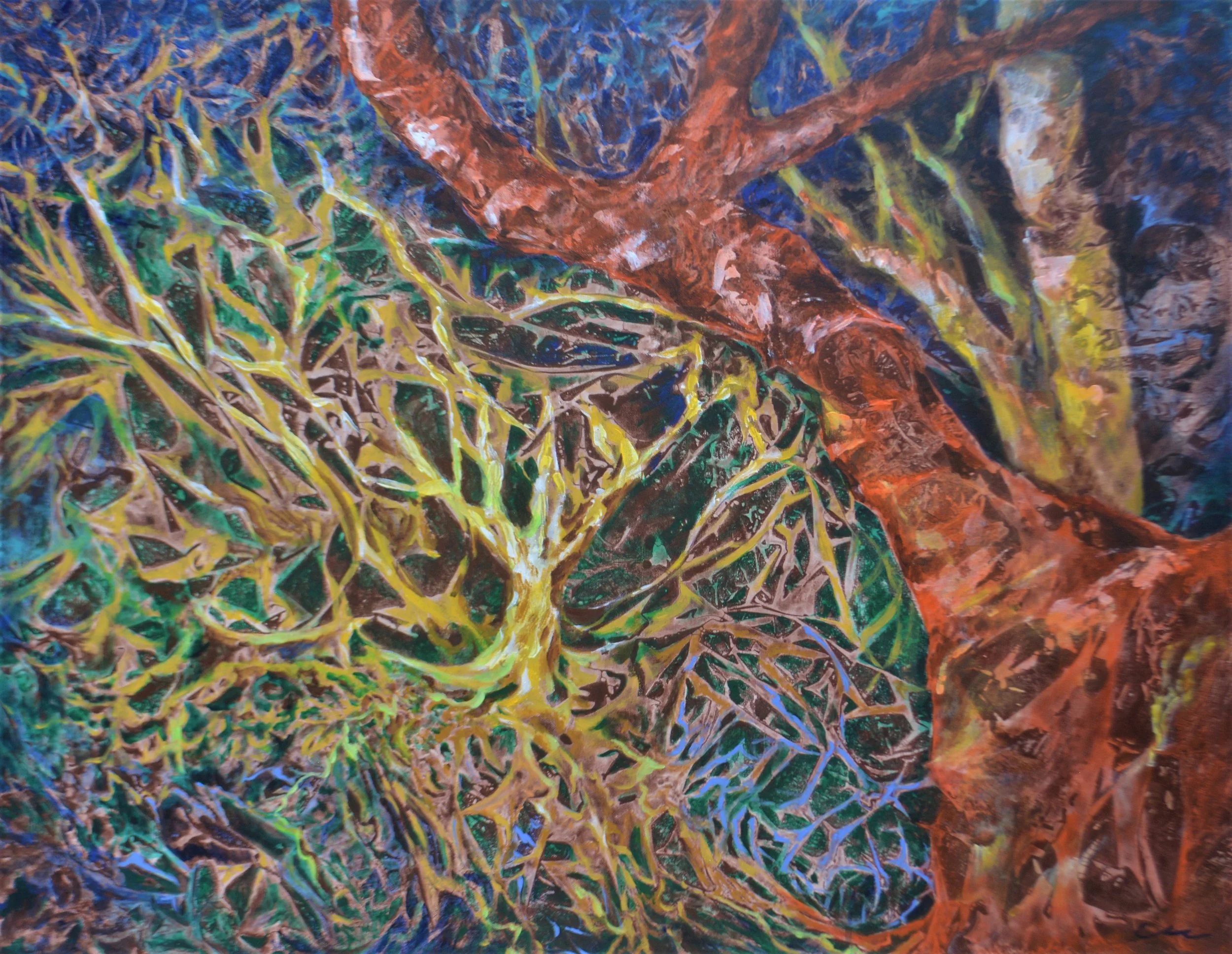 Série Conexões com a Natureza