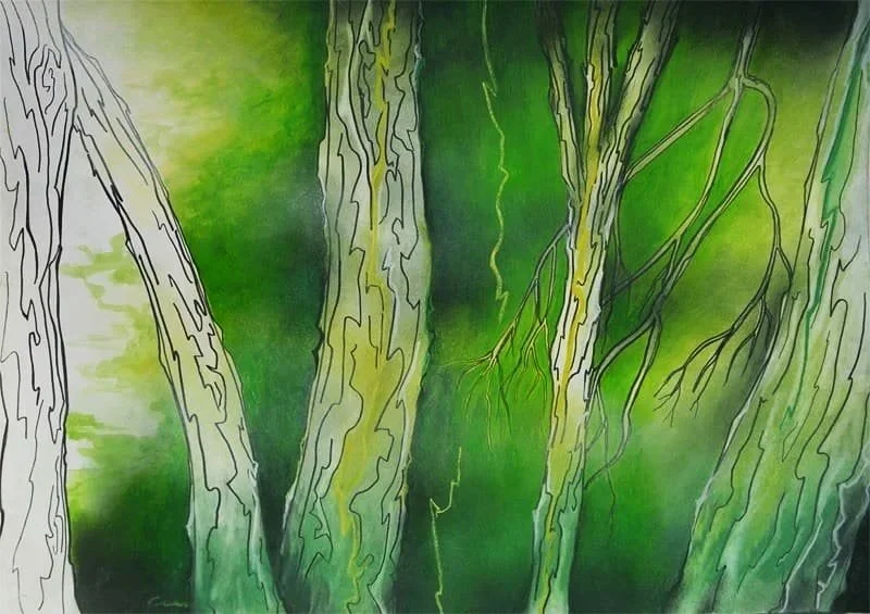 Série Florestas Mediterrânicas, Desenhos