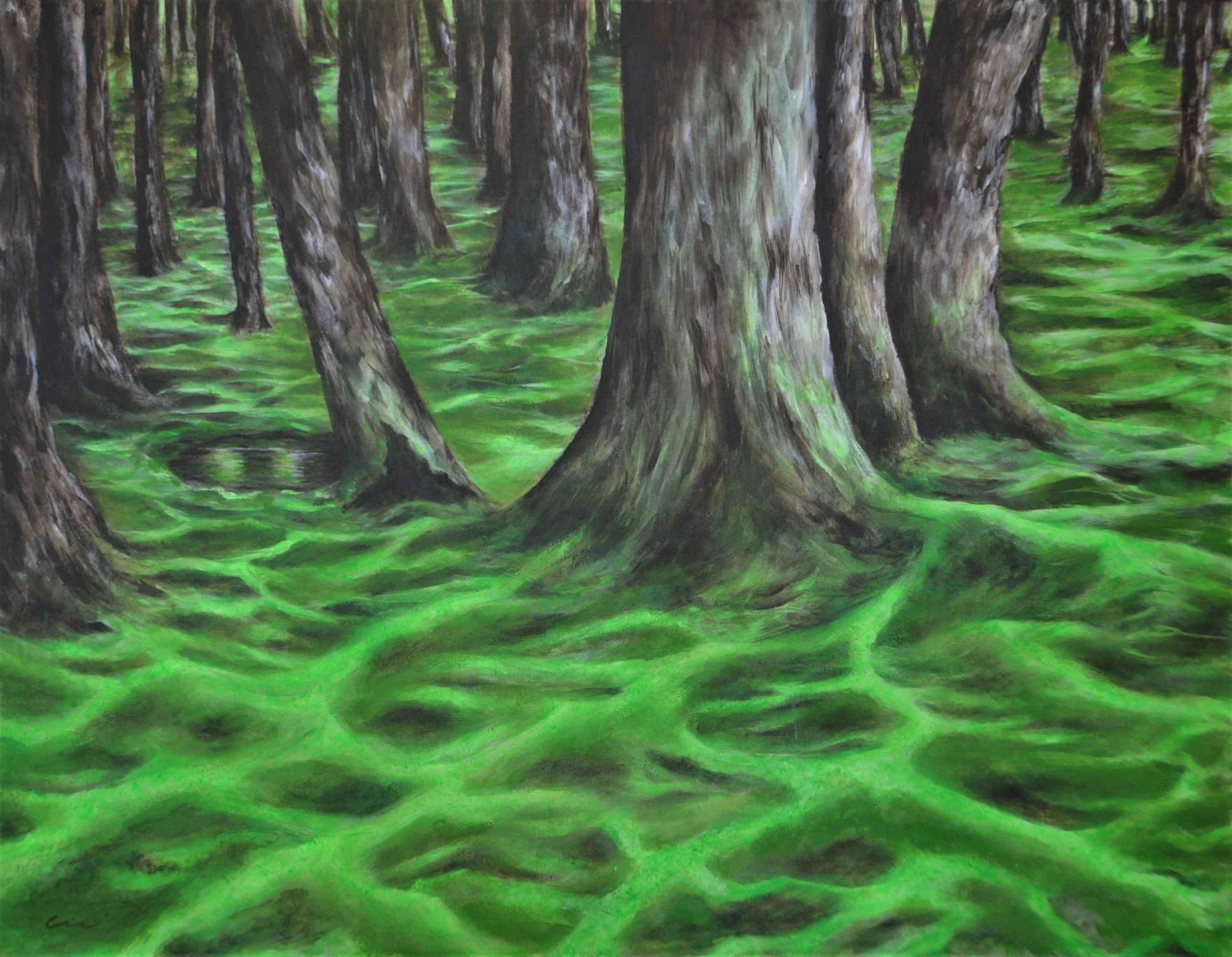 "Connections". Pintura acrílica sobre tela, 70 x 90 cm. Cláudia Matoos.