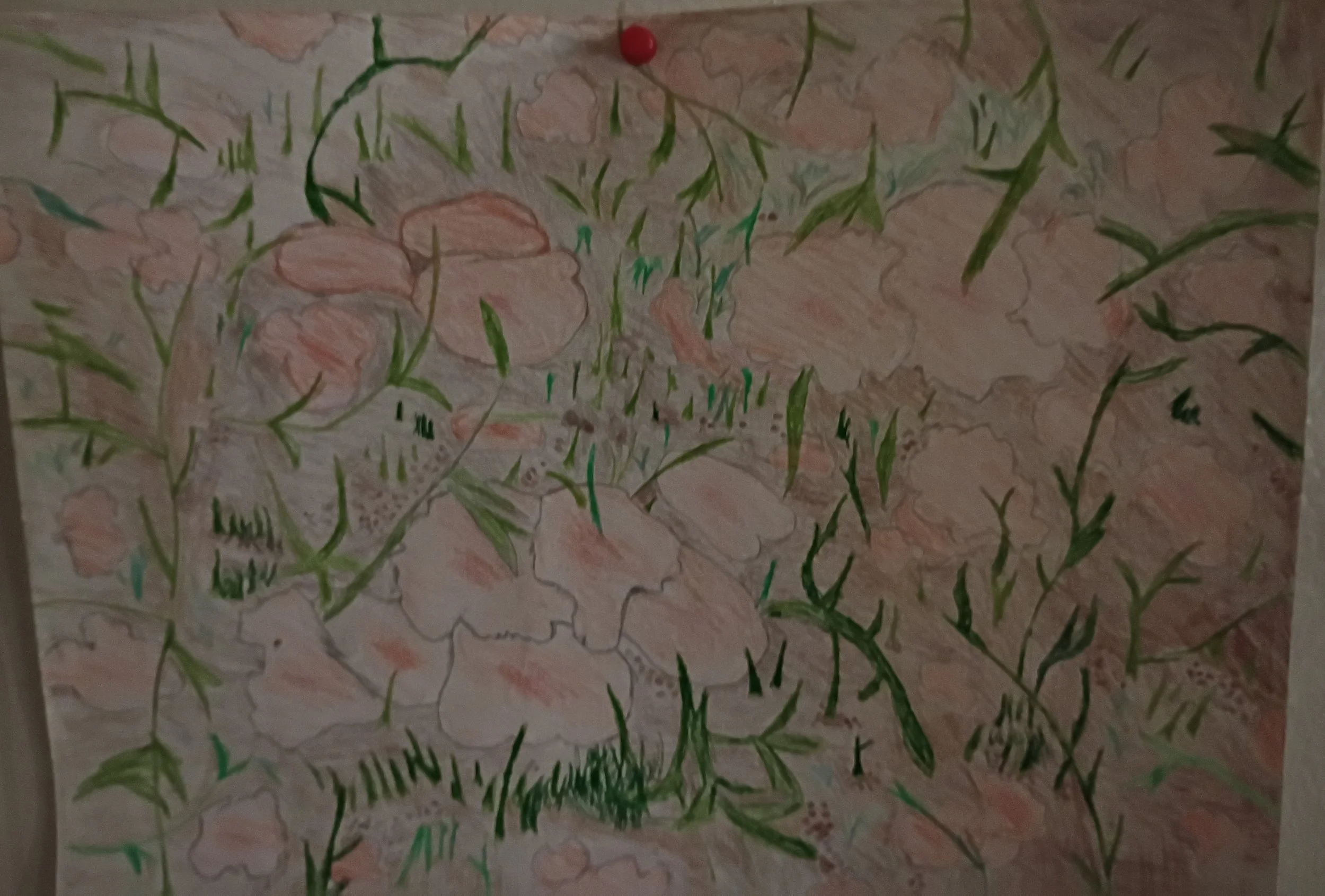 I took a picture, and drew it. I like to look at the flowers and sometimes I take pictures of them. This was near my home, and I had fun making it.