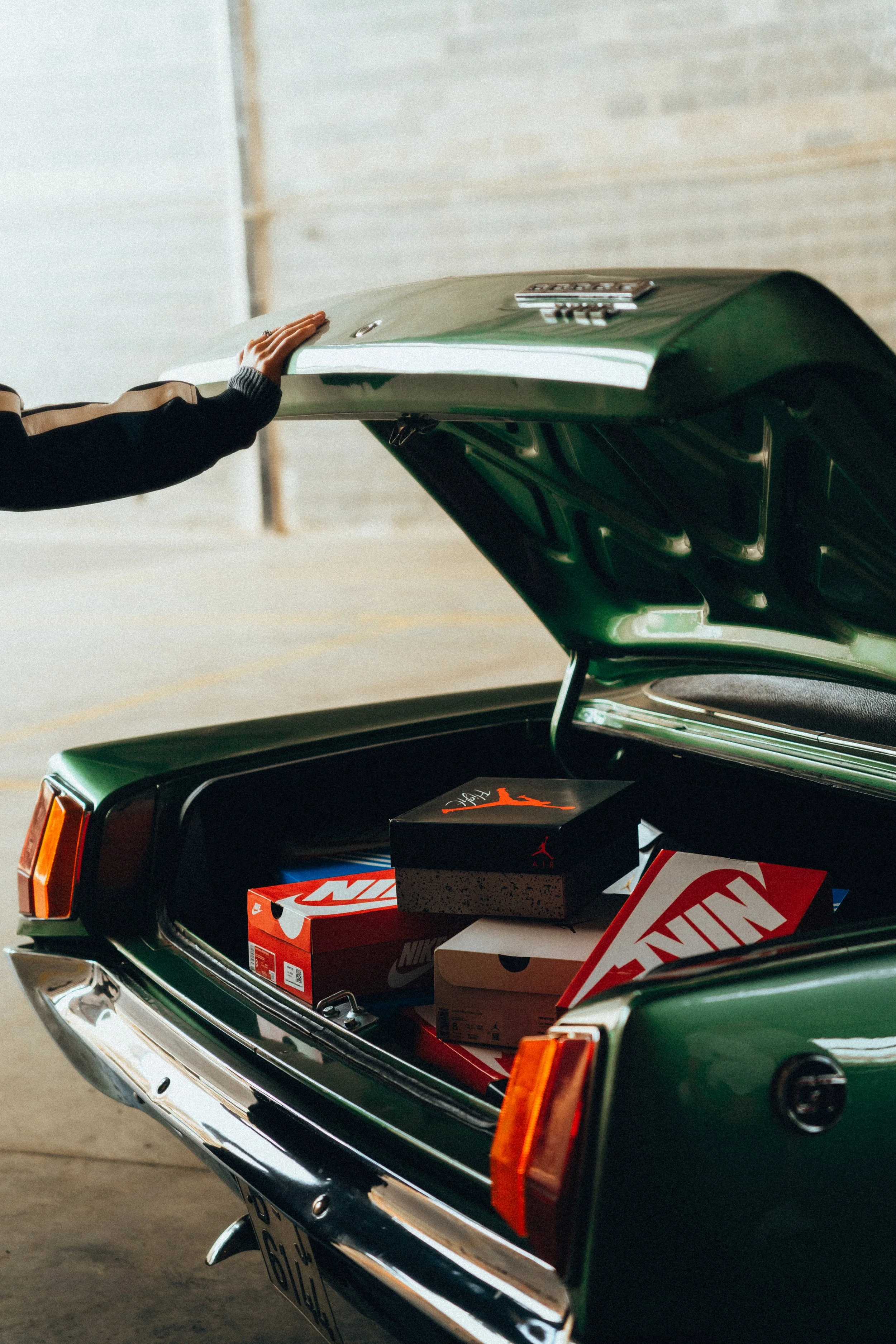 Copia de BVZ09914-Editar.jpg