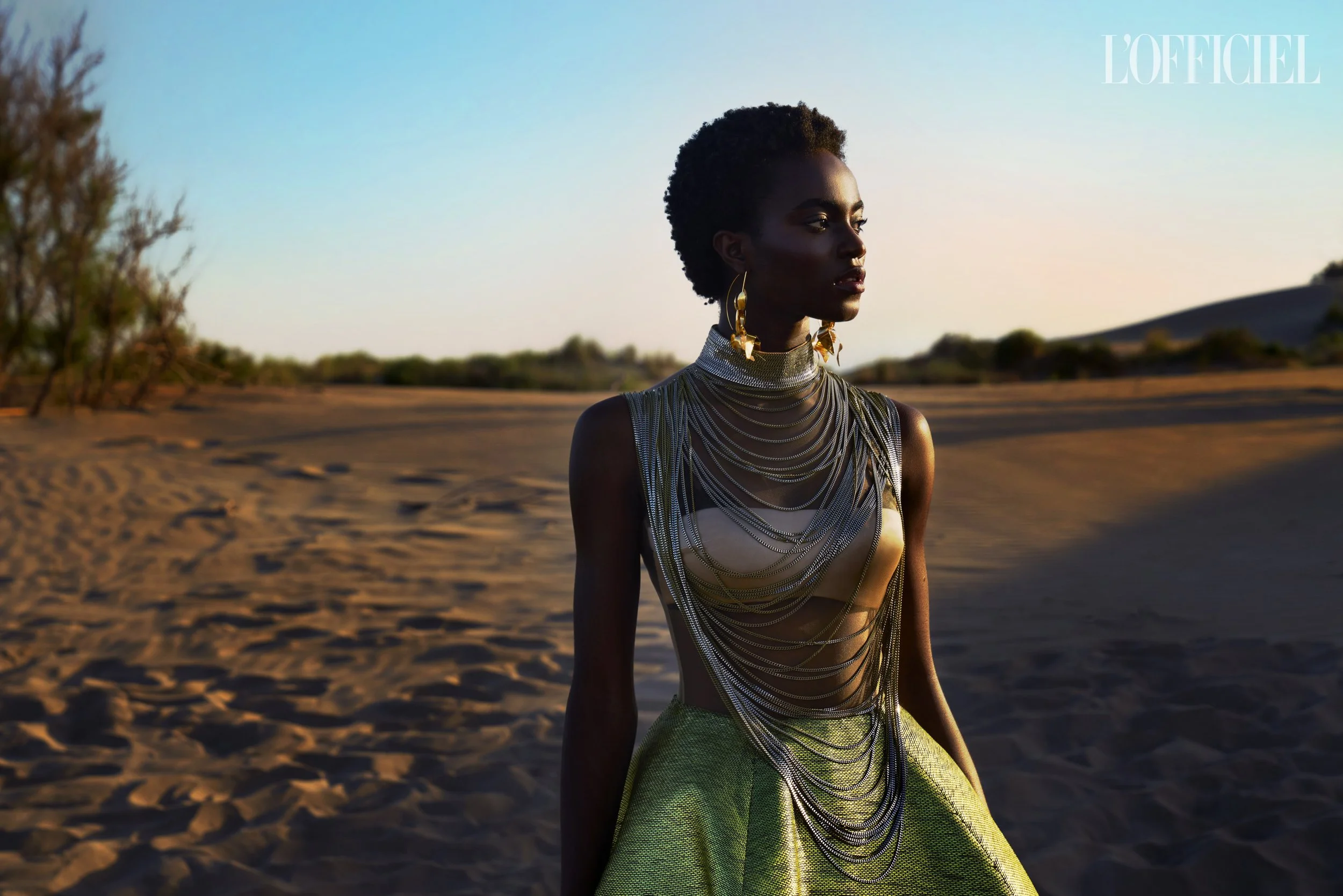 A woman standing in a desert landscape wearing a metallic layered dress with a sheer top, large gold earrings, and an updo hairstyle, with trees and desert hills in the background during sunset.