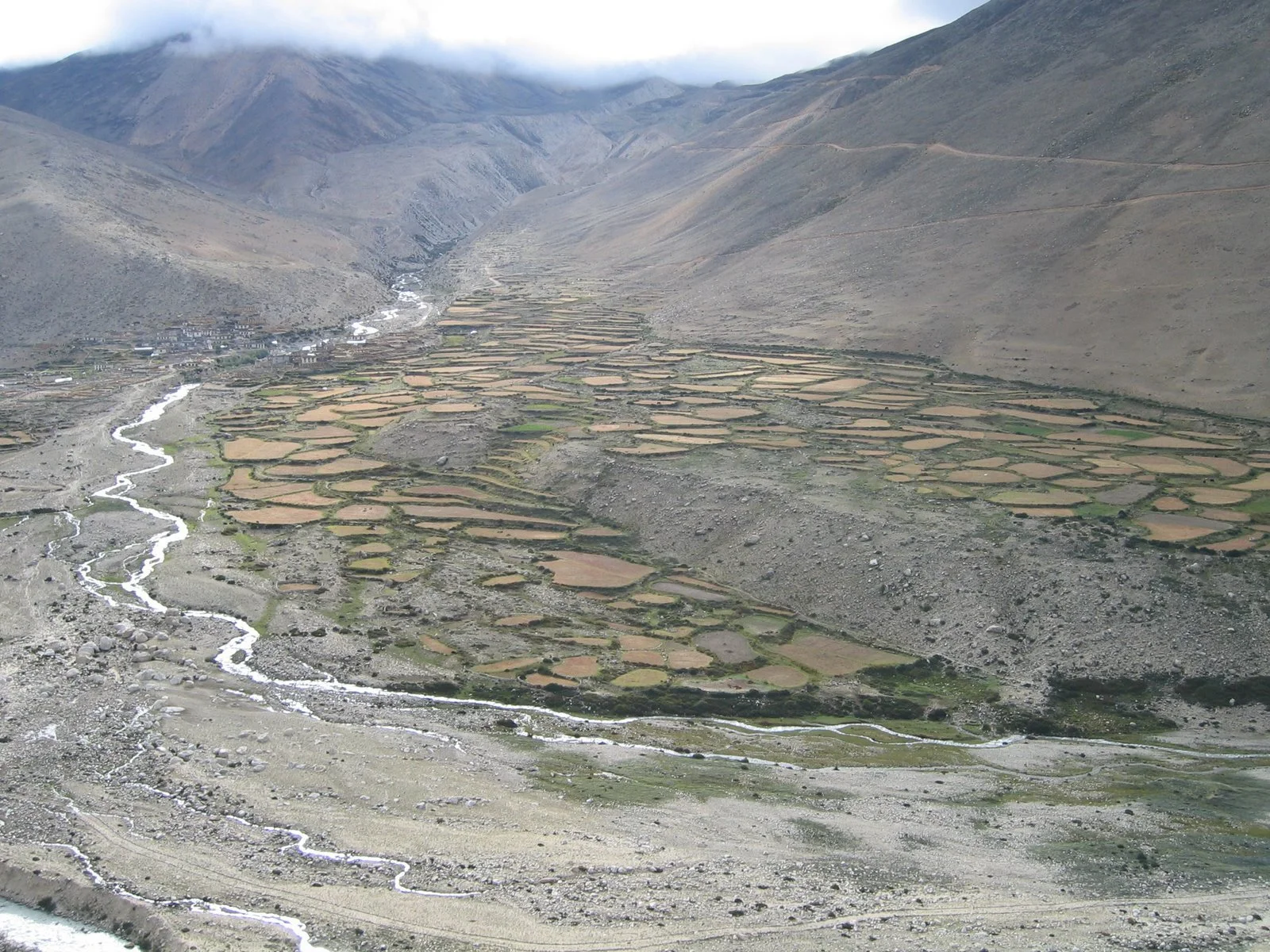 9 copy of img_0320.jpg