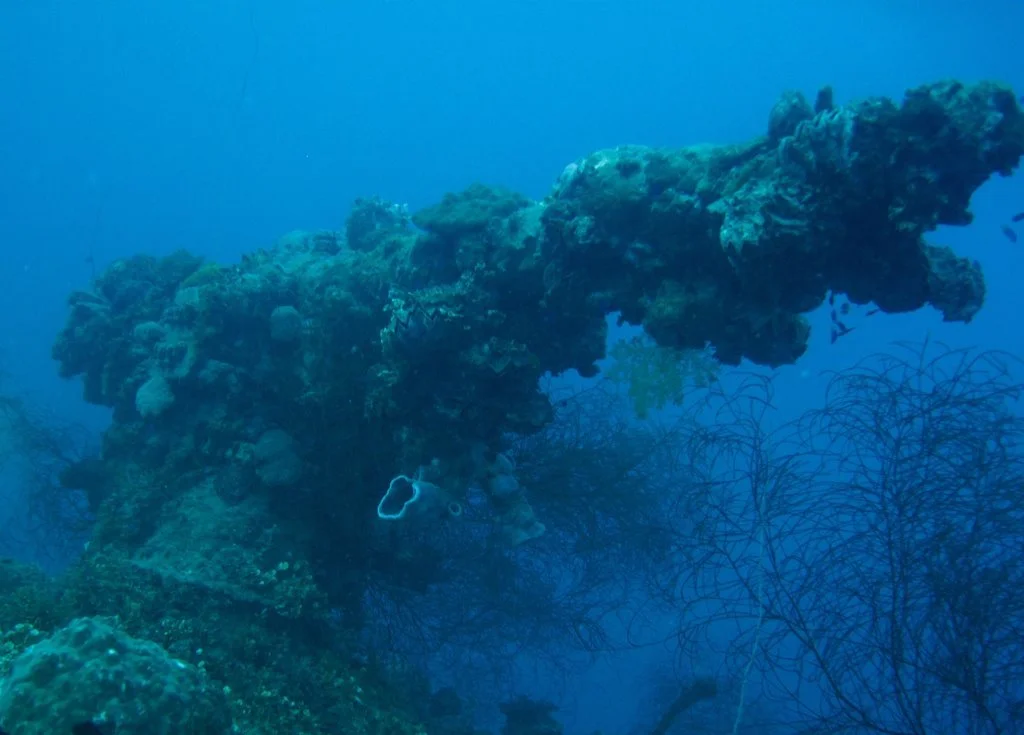 6 dive - Kansho Maru-1.JPG