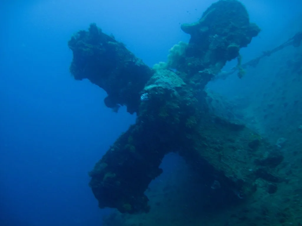 8 dive - Kiyozumi Maru-1.JPG