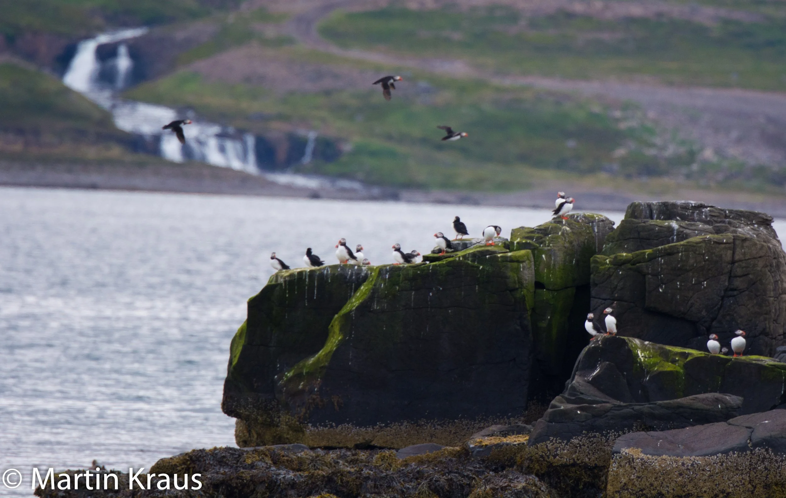 martin kraus-3935.jpg