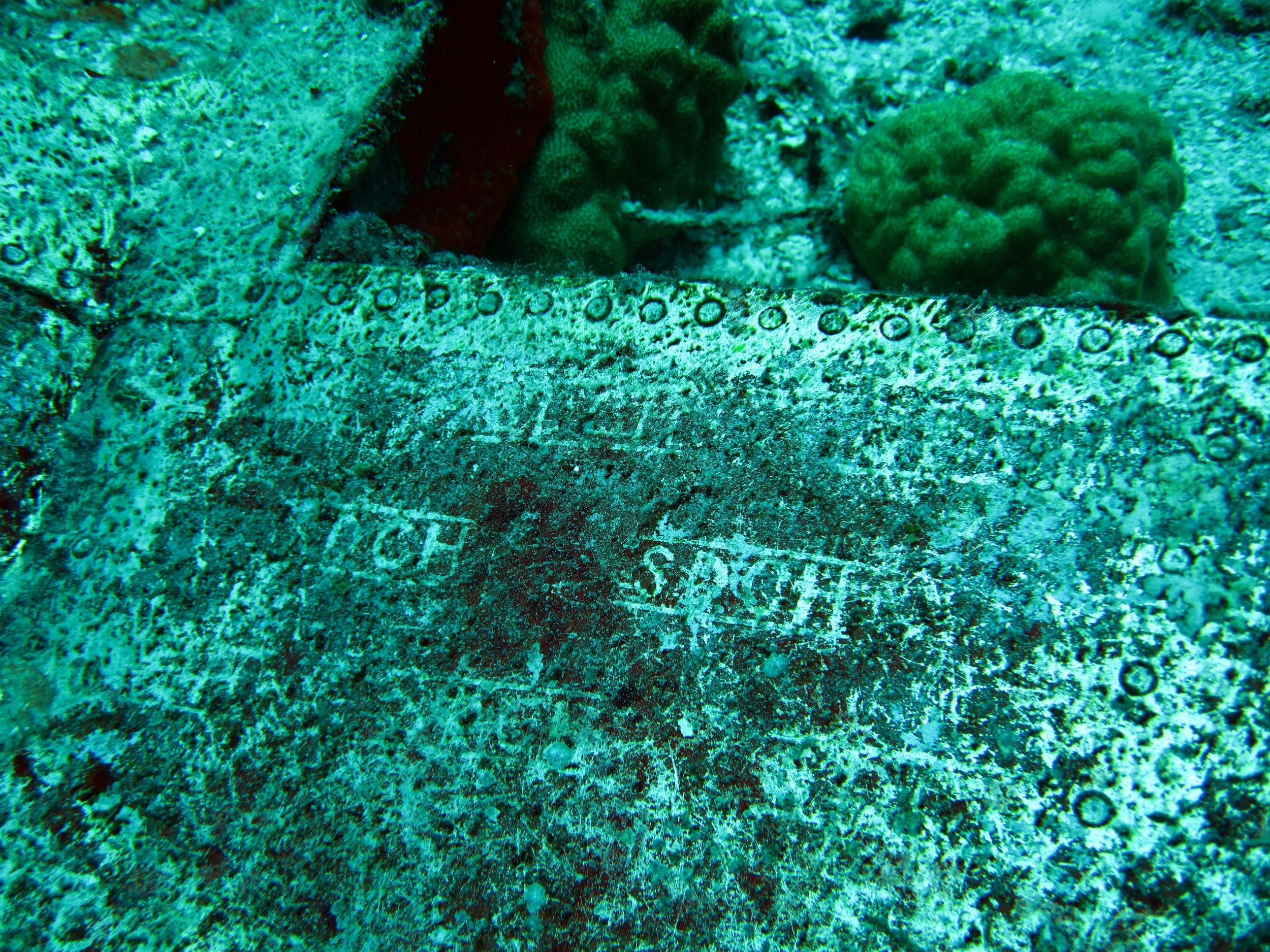 2 dive - Emily Flying Boat-70.JPG