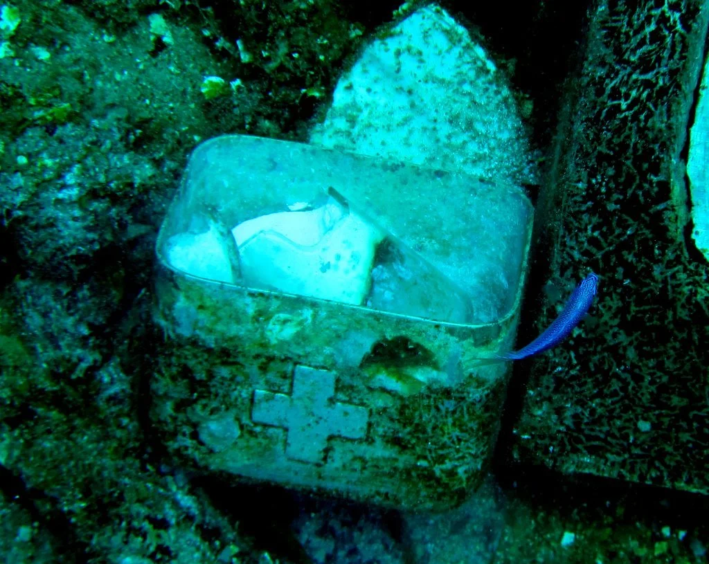 5 dive fujikawa maru-12.JPG