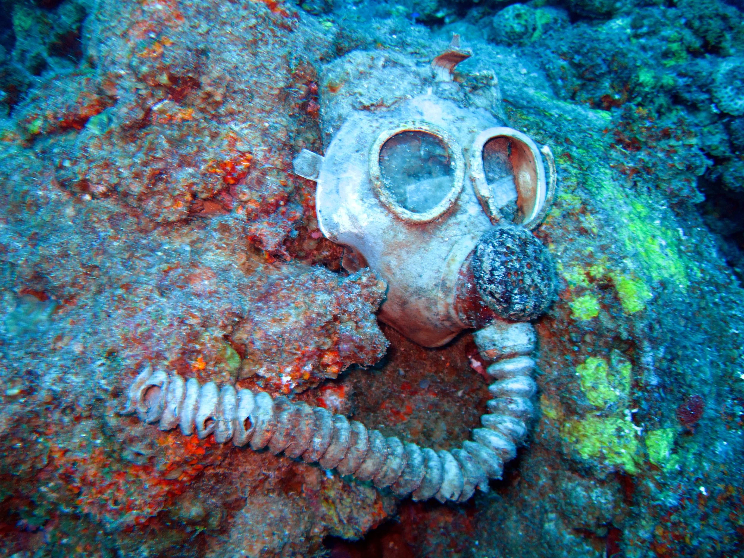 12 dive Nippo Maru.JPG