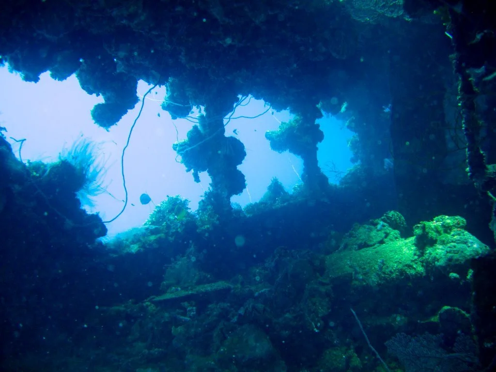 5 dive fujikawa maru-58.JPG