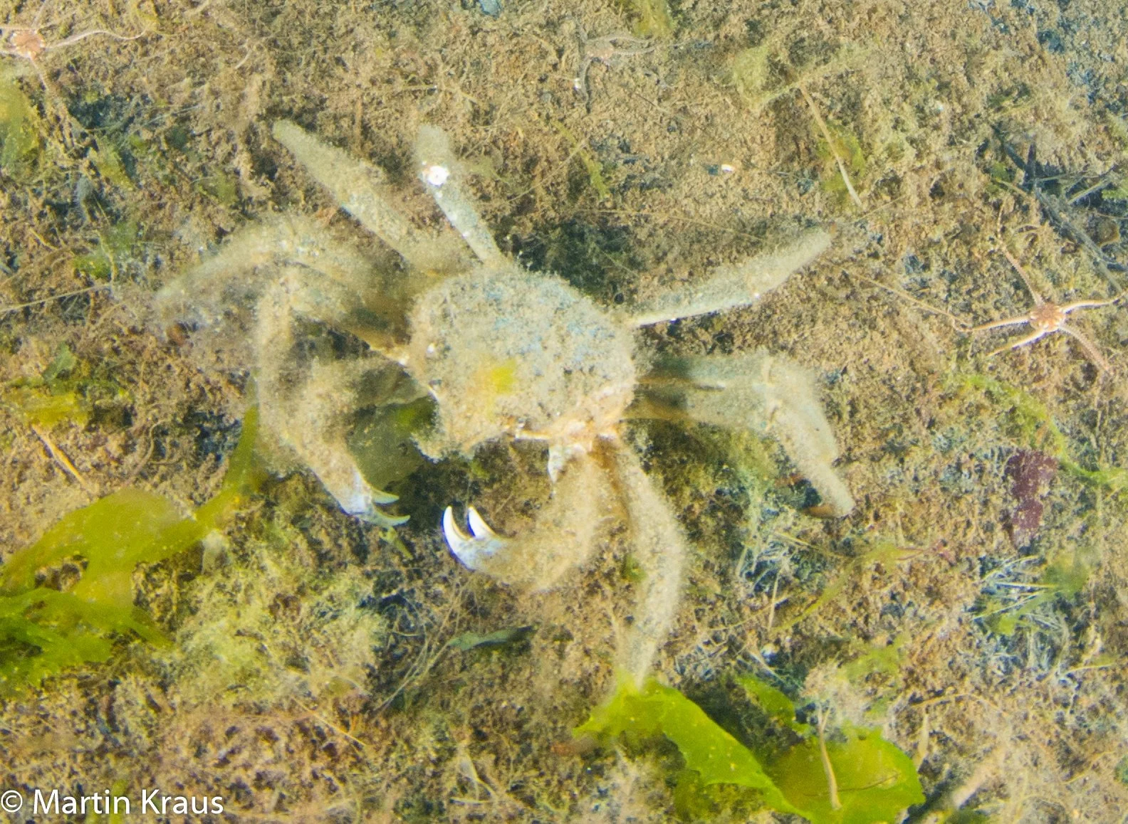 martin kraus-2095.jpg