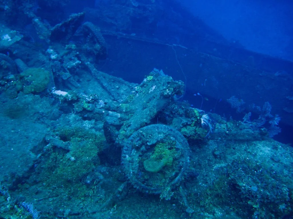 12 dive Nippo Maru-28.JPG