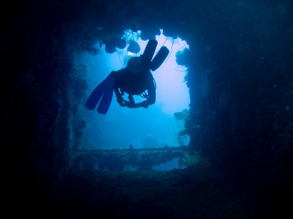 7 dive - Shinkoku Maru-11.JPG