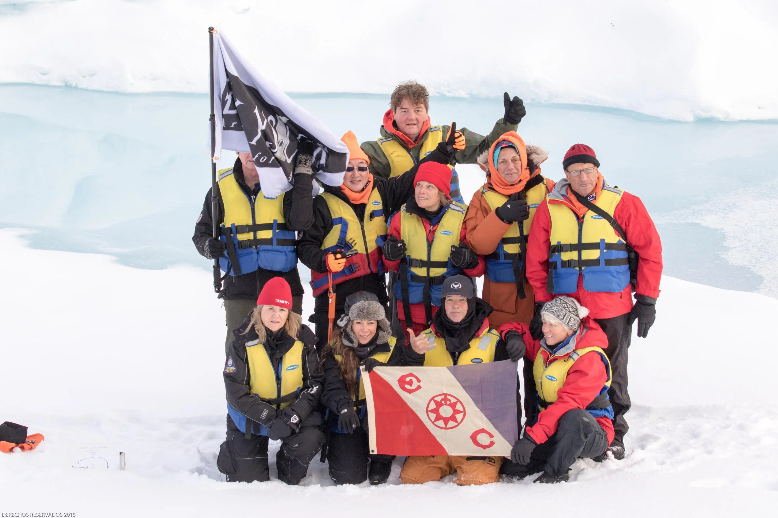 Elysium Artists for the Arctic