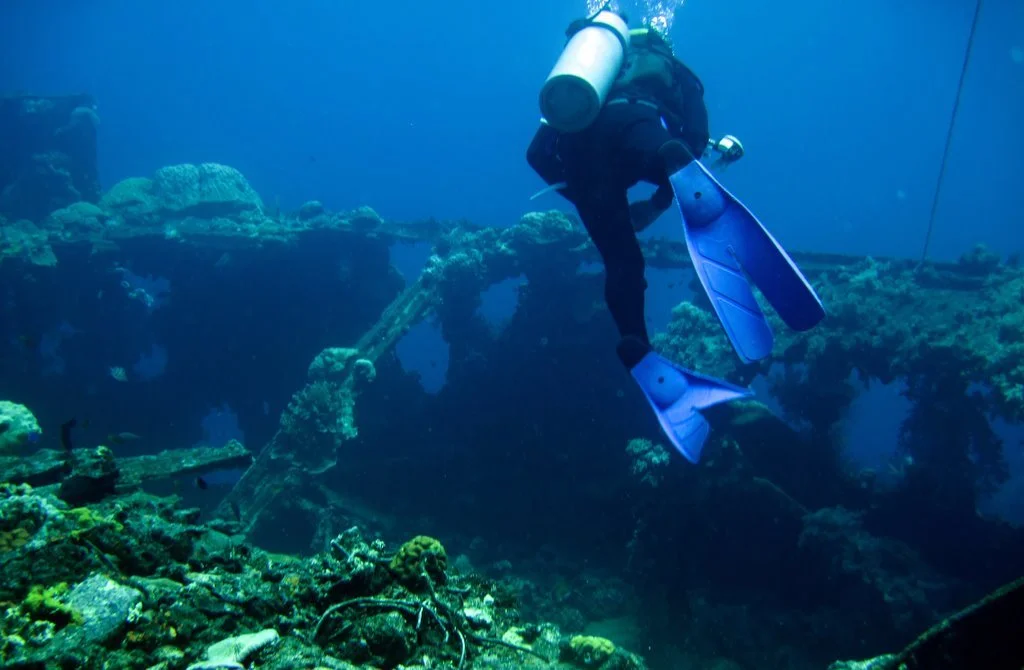 5 dive fujikawa maru-4.JPG