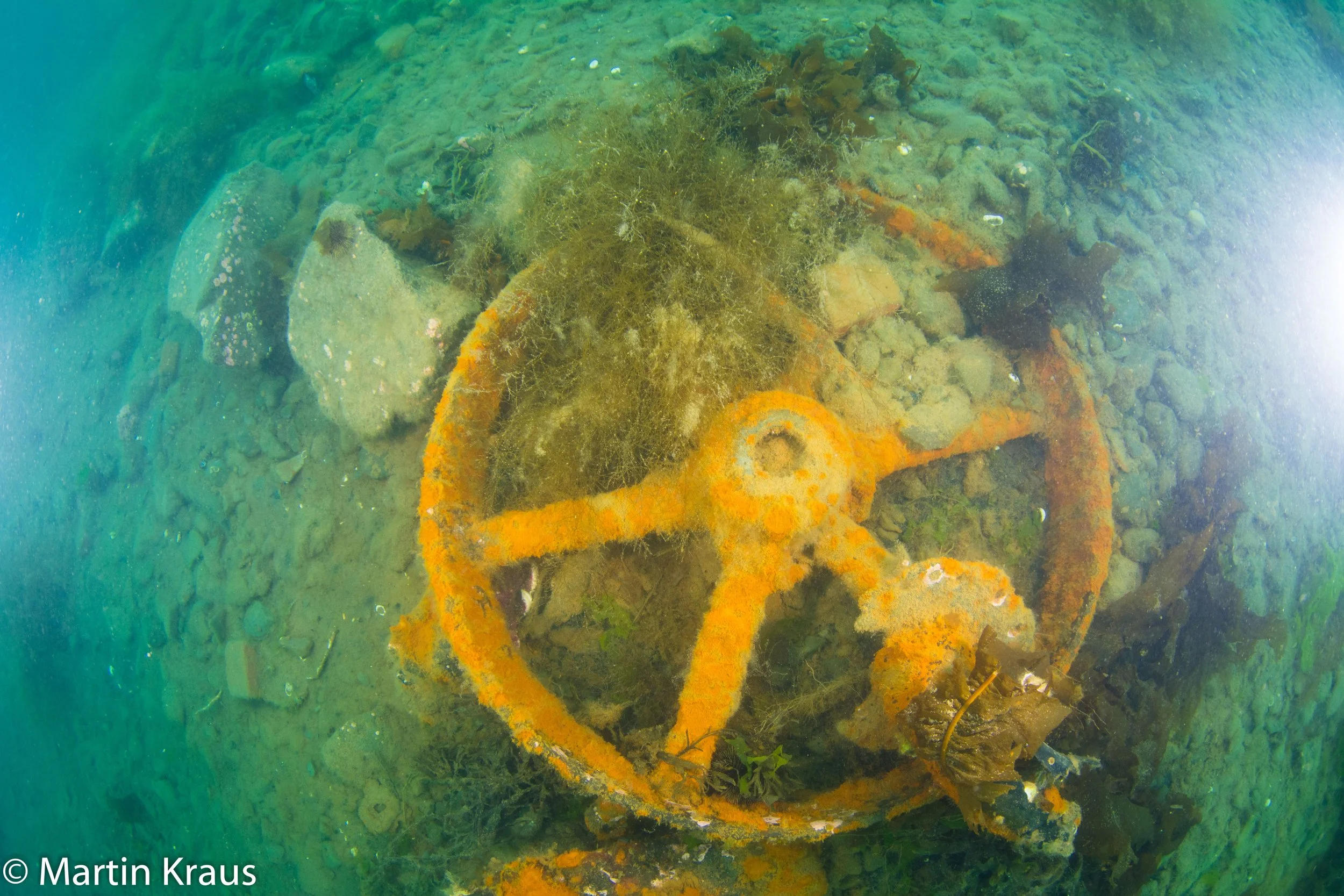 martin kraus-2178.jpg