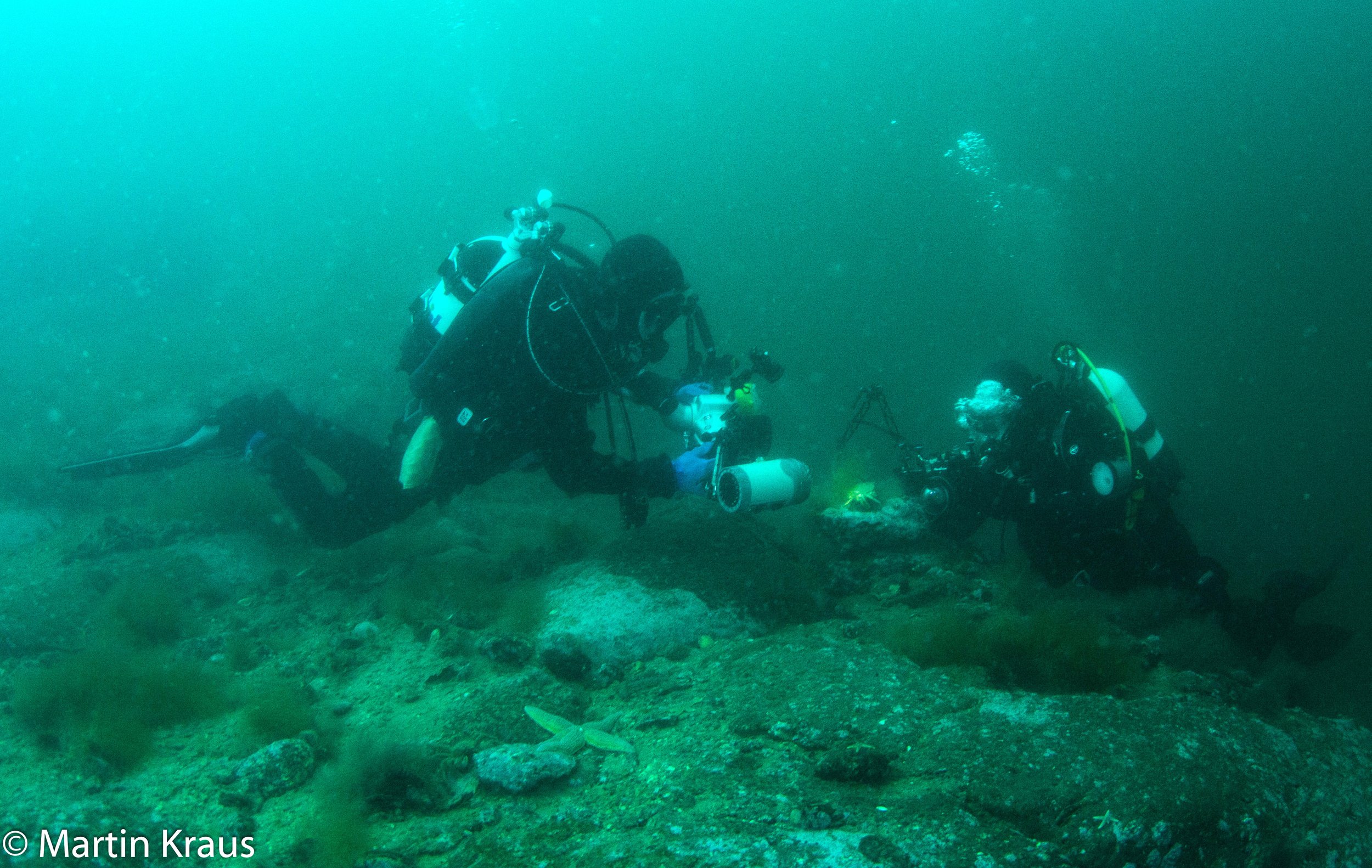 martin kraus-2213.jpg