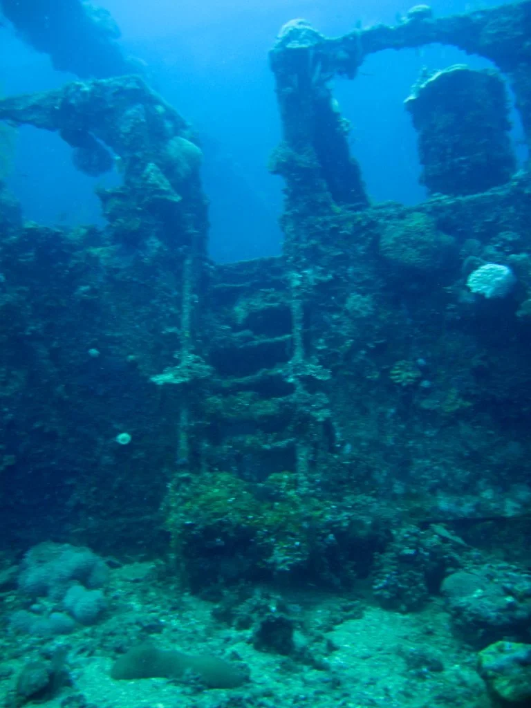 5 dive fujikawa maru-30.JPG