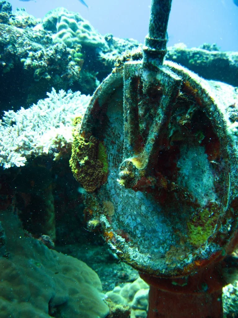 5 dive fujikawa maru-40.JPG