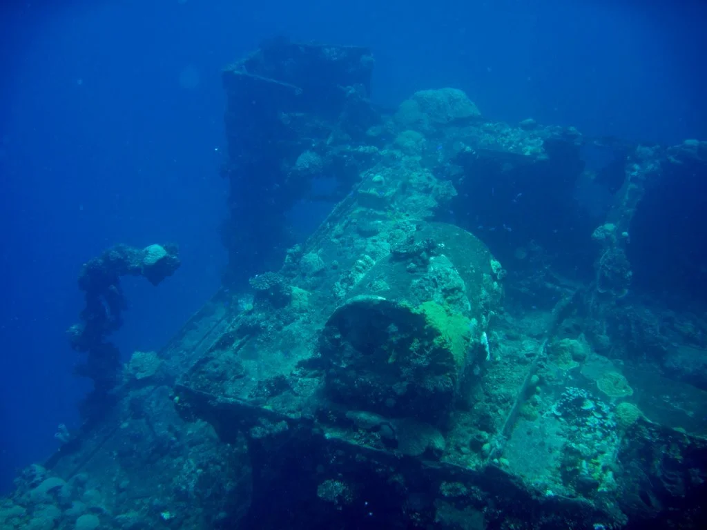 5 dive fujikawa maru-64.JPG