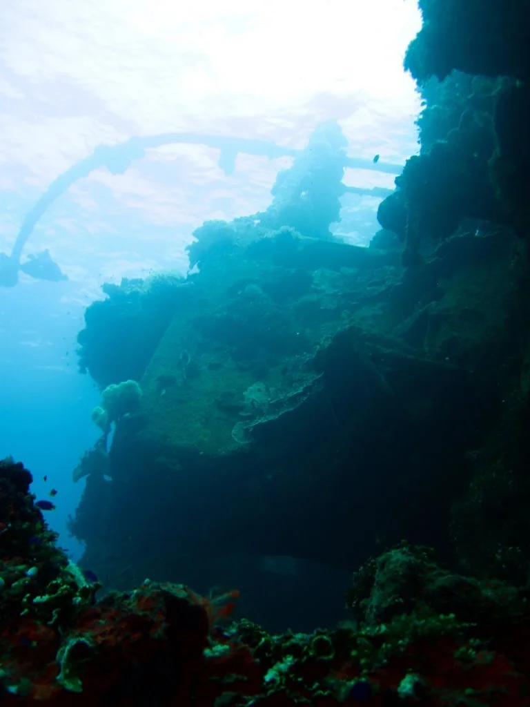 14 dive - Gosei Maru - -25.JPG